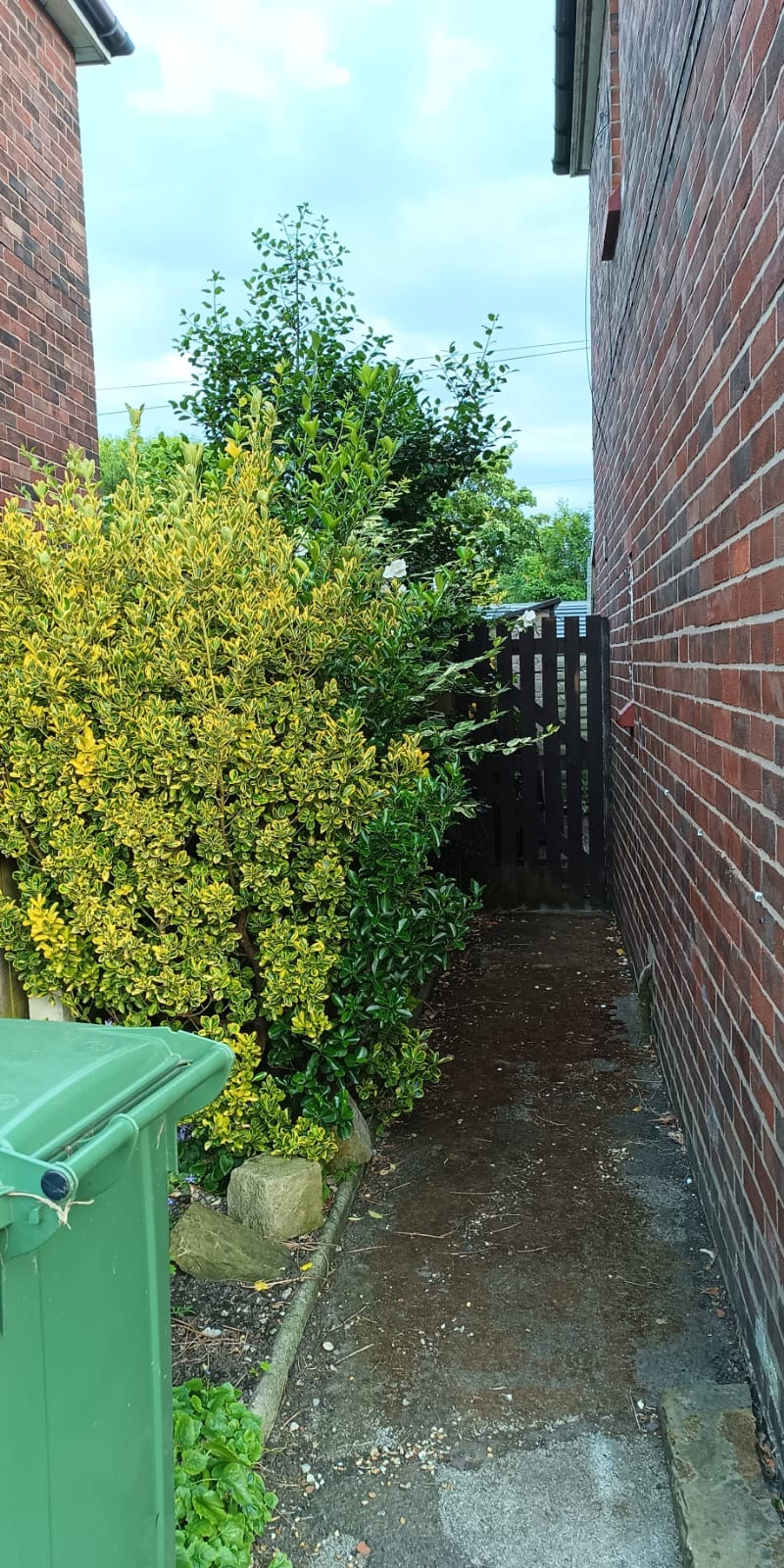 Side Entry