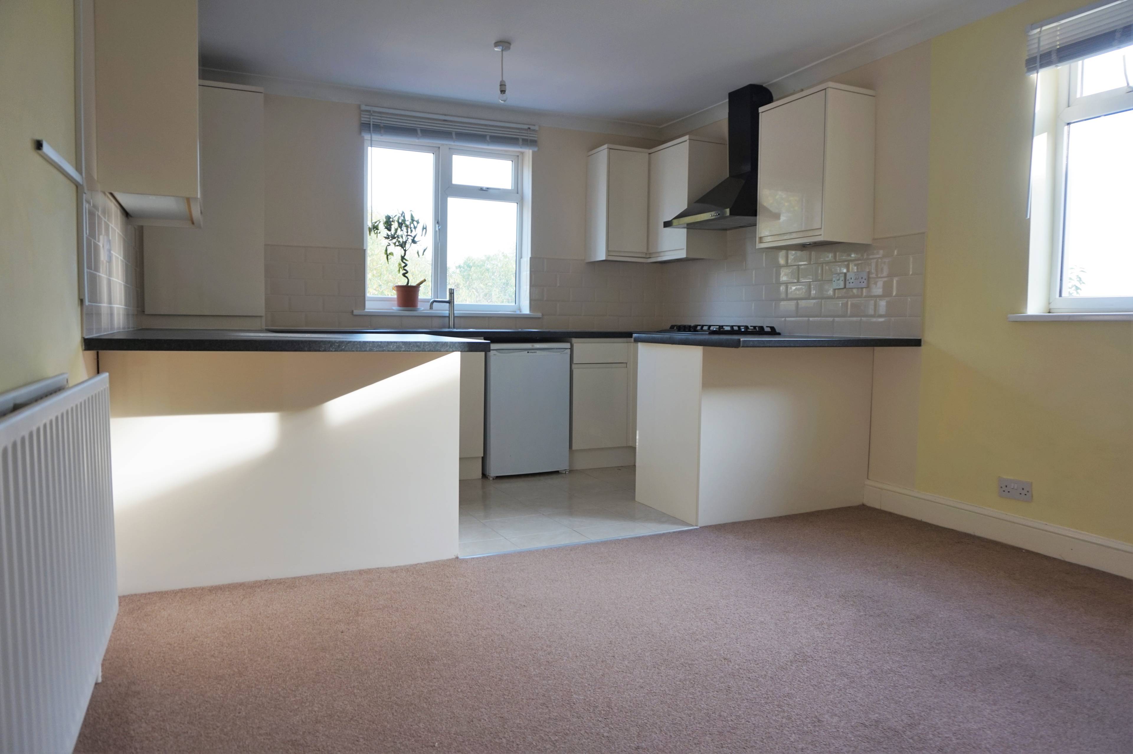 Lounge / Kitchen