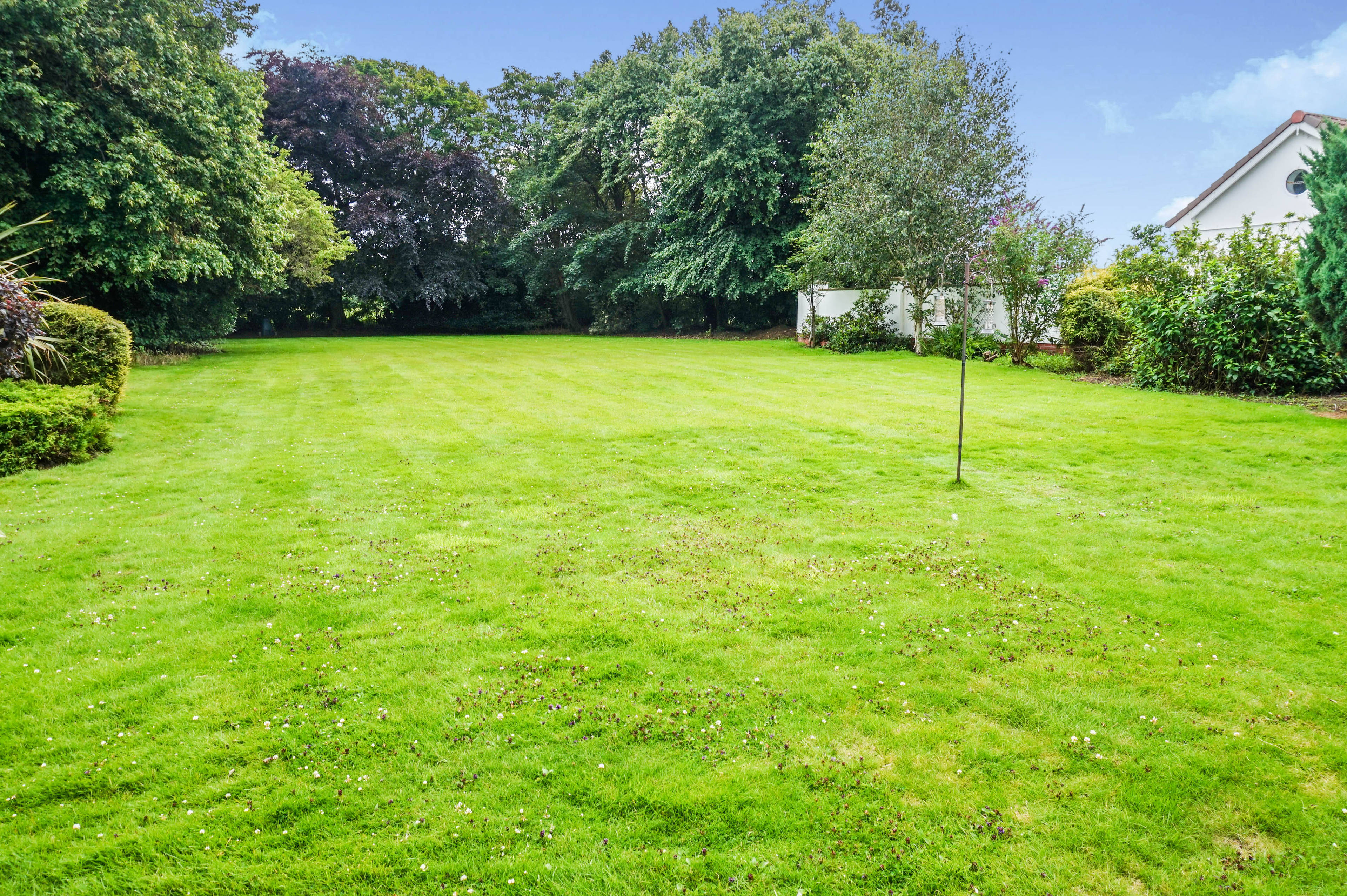 Grounds