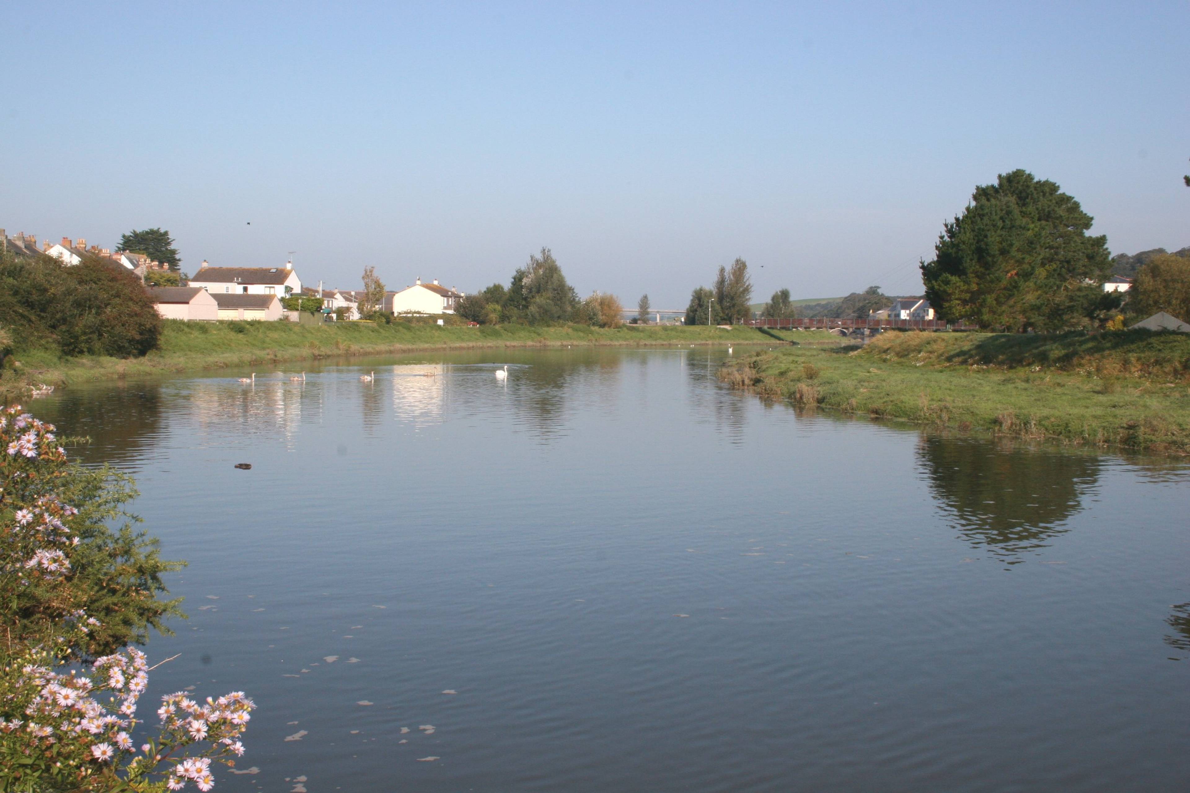 Local Area