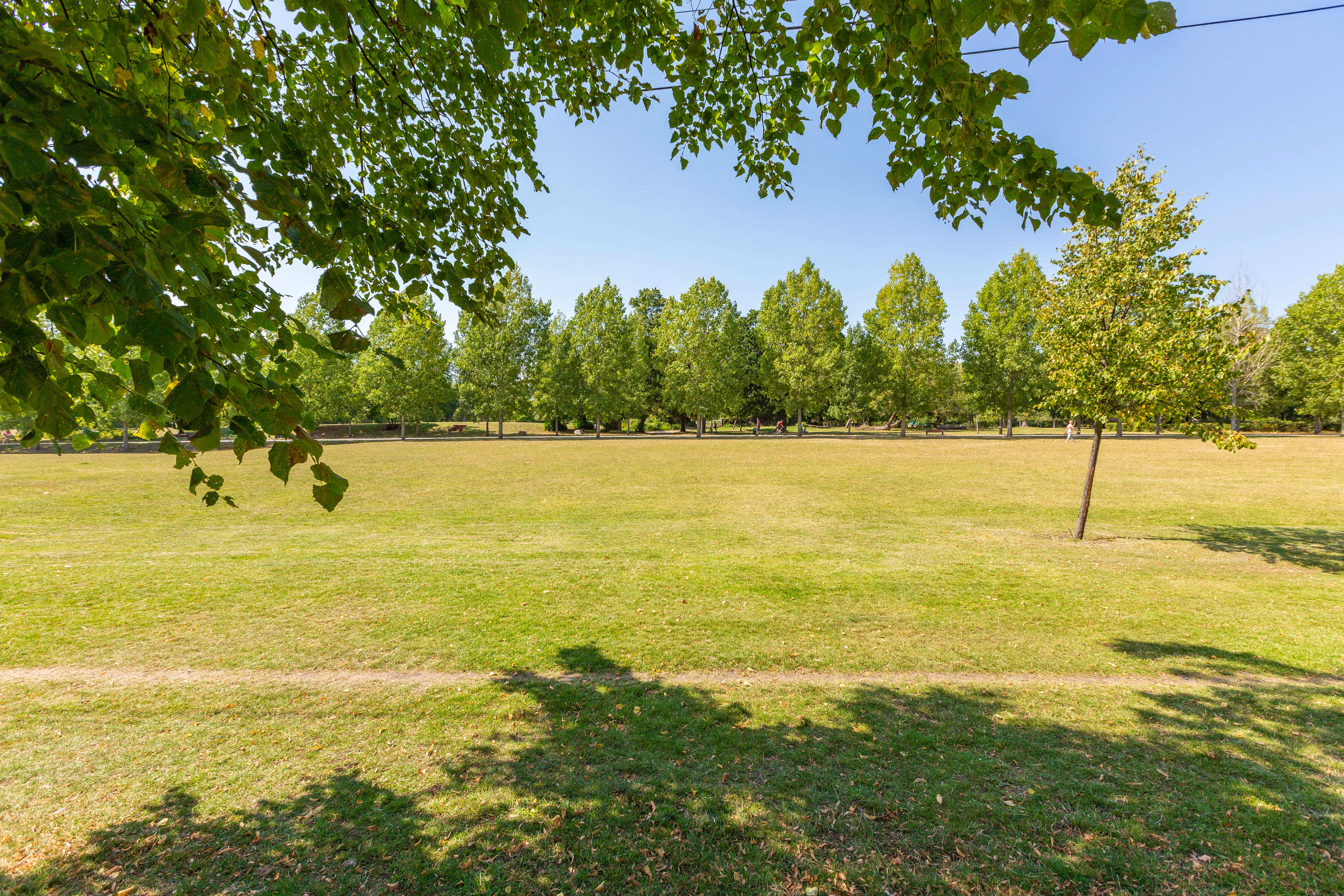 Nearby Park
