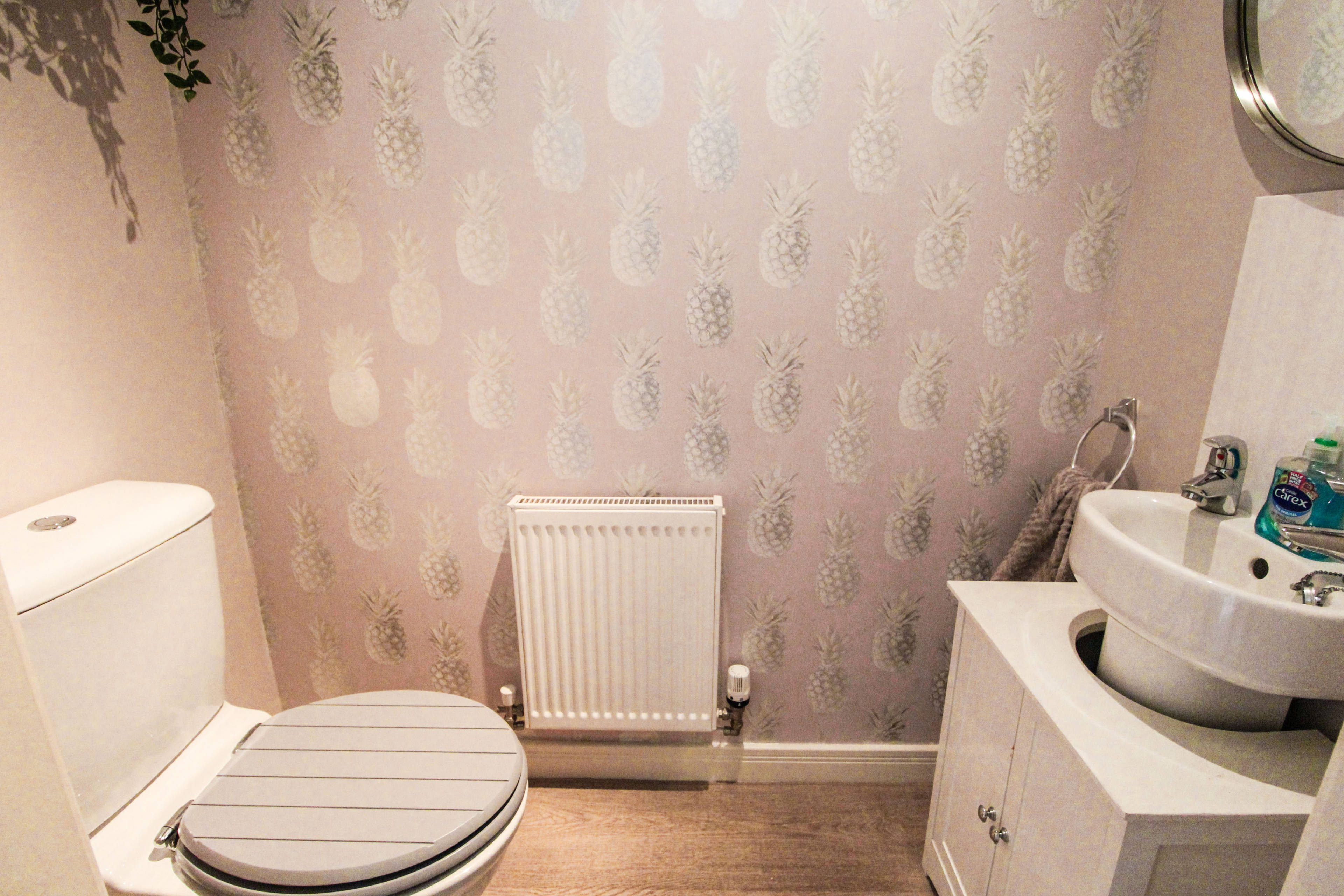 Downstairs Cloakroom