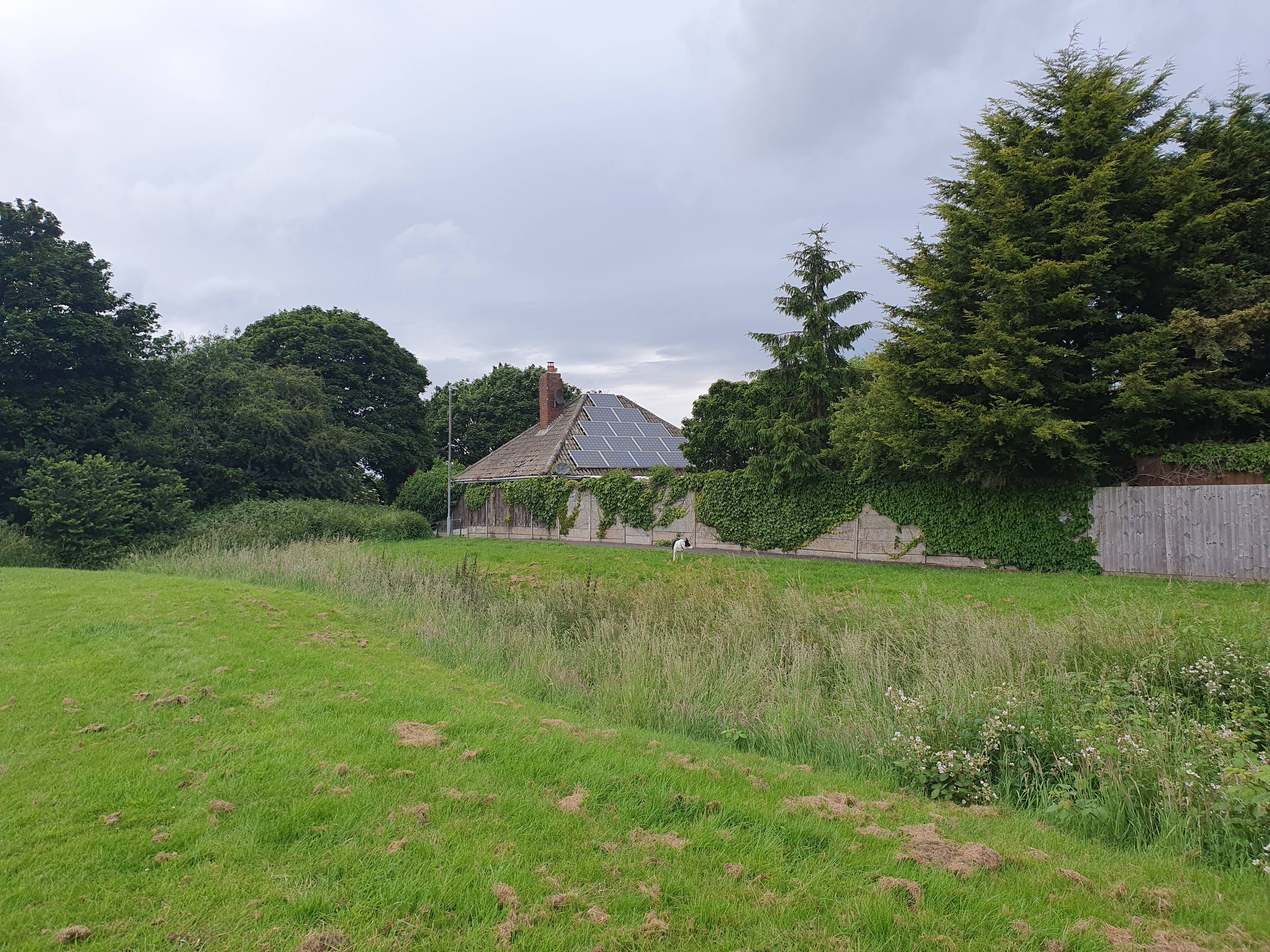 Site Rear