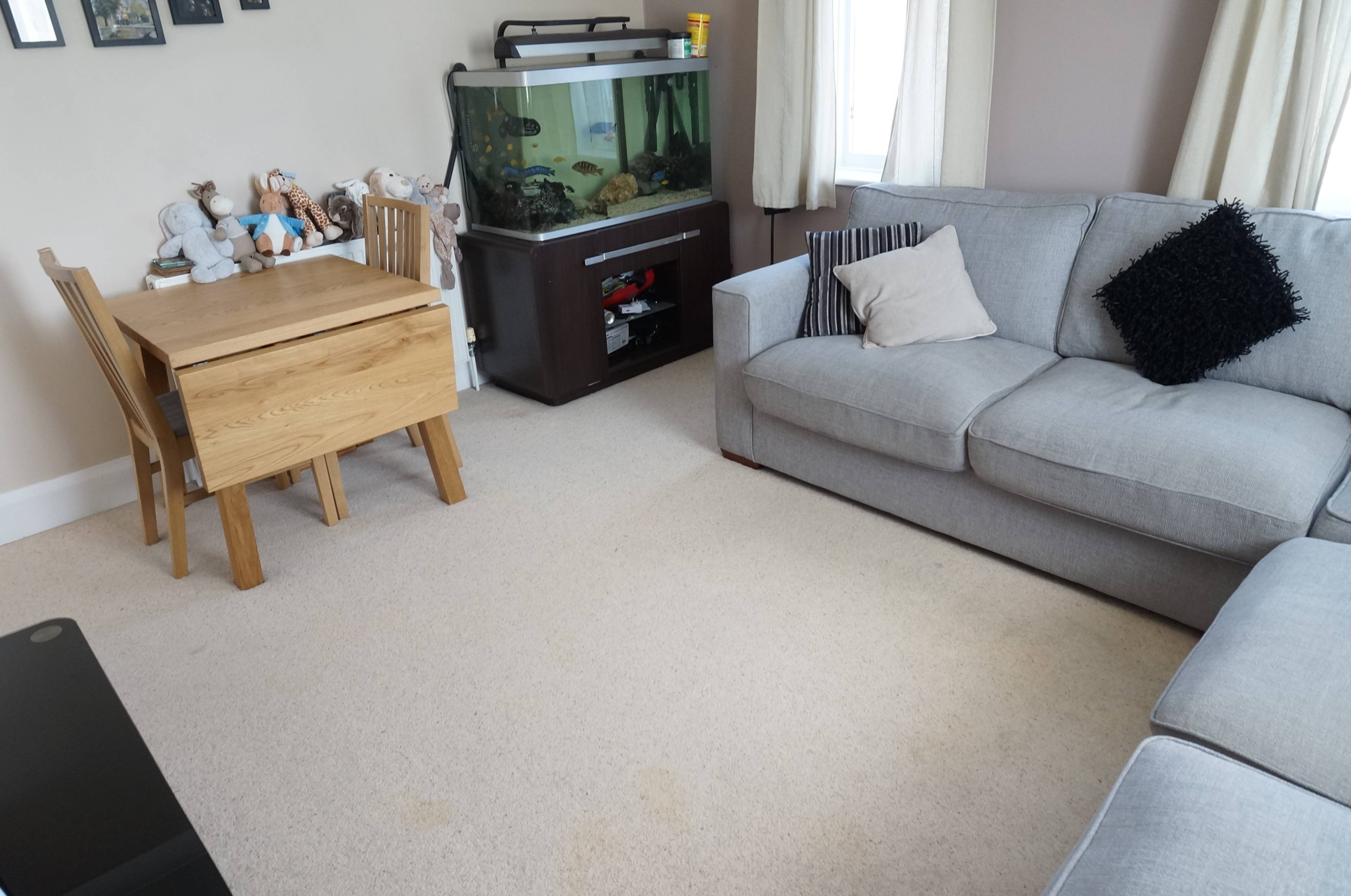 Living / Dining Room