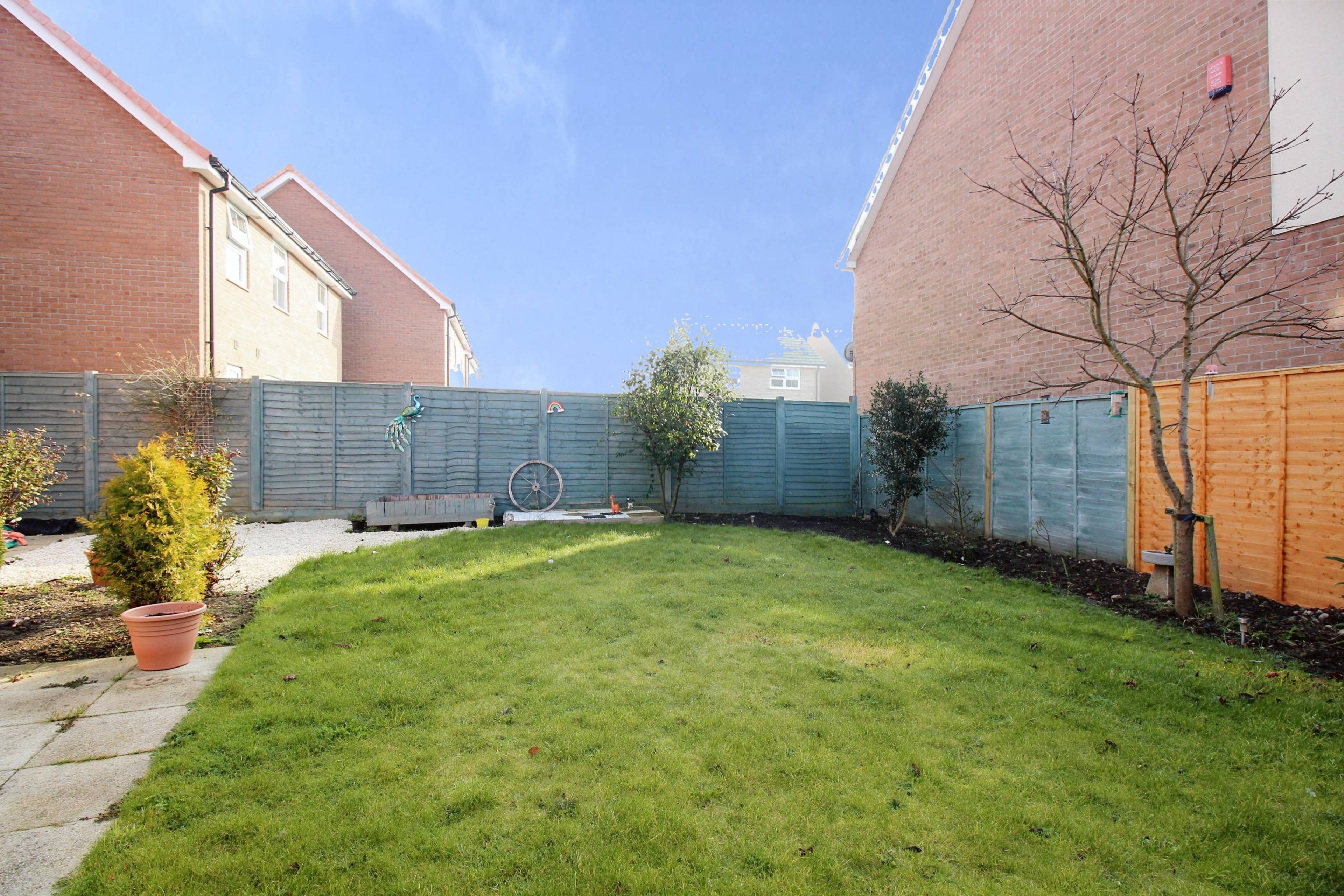 garden