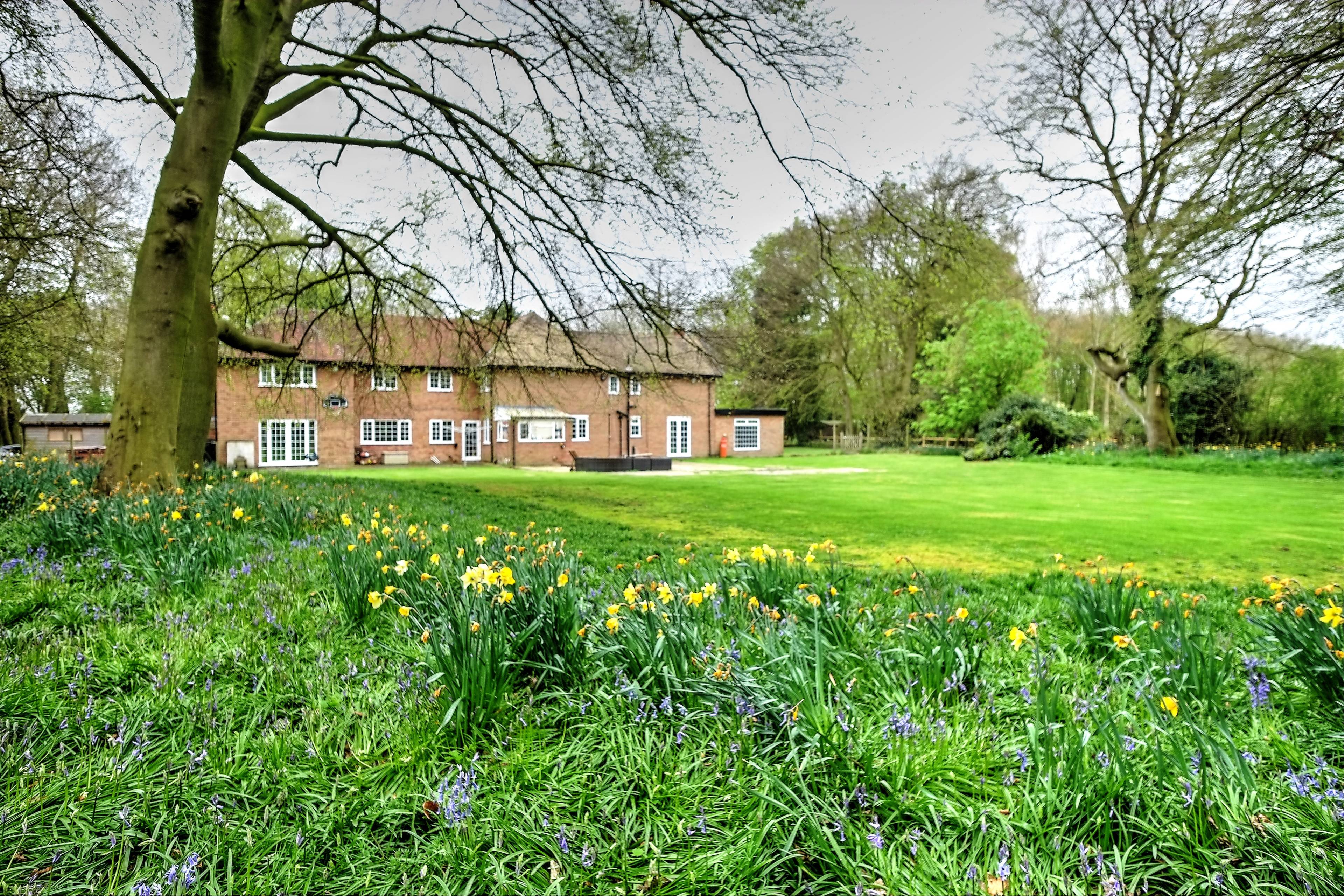 View Of The Property