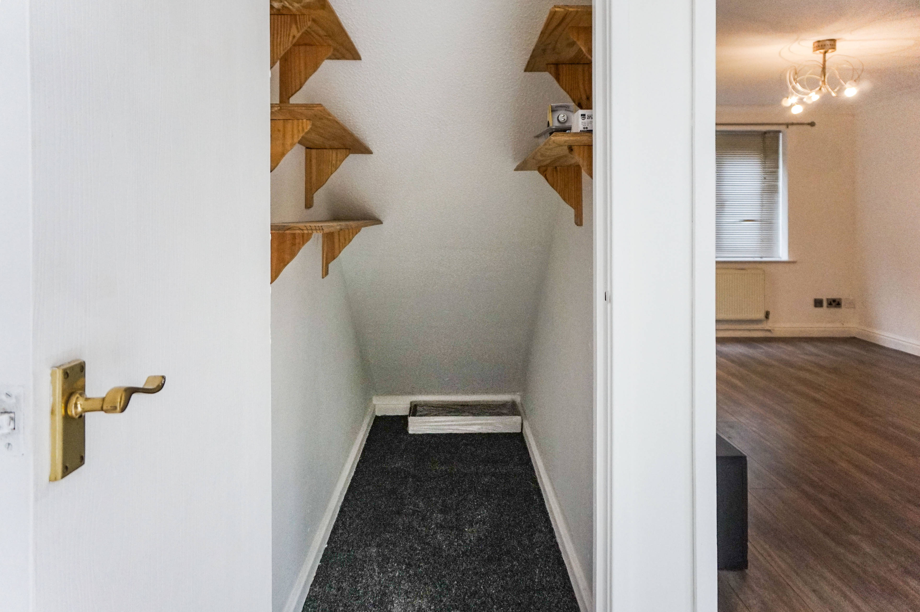 Under Stair Cupboard