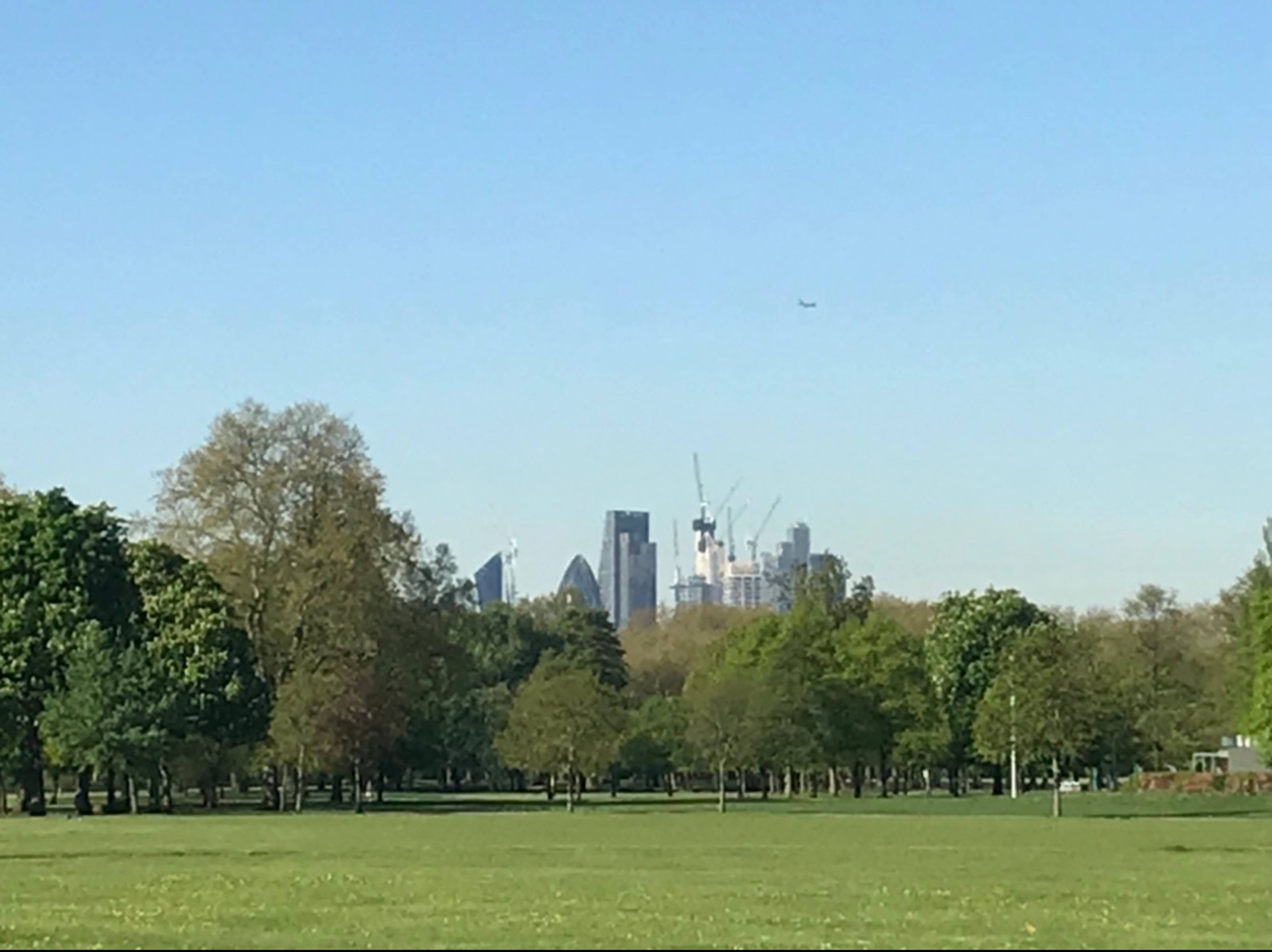 The Park