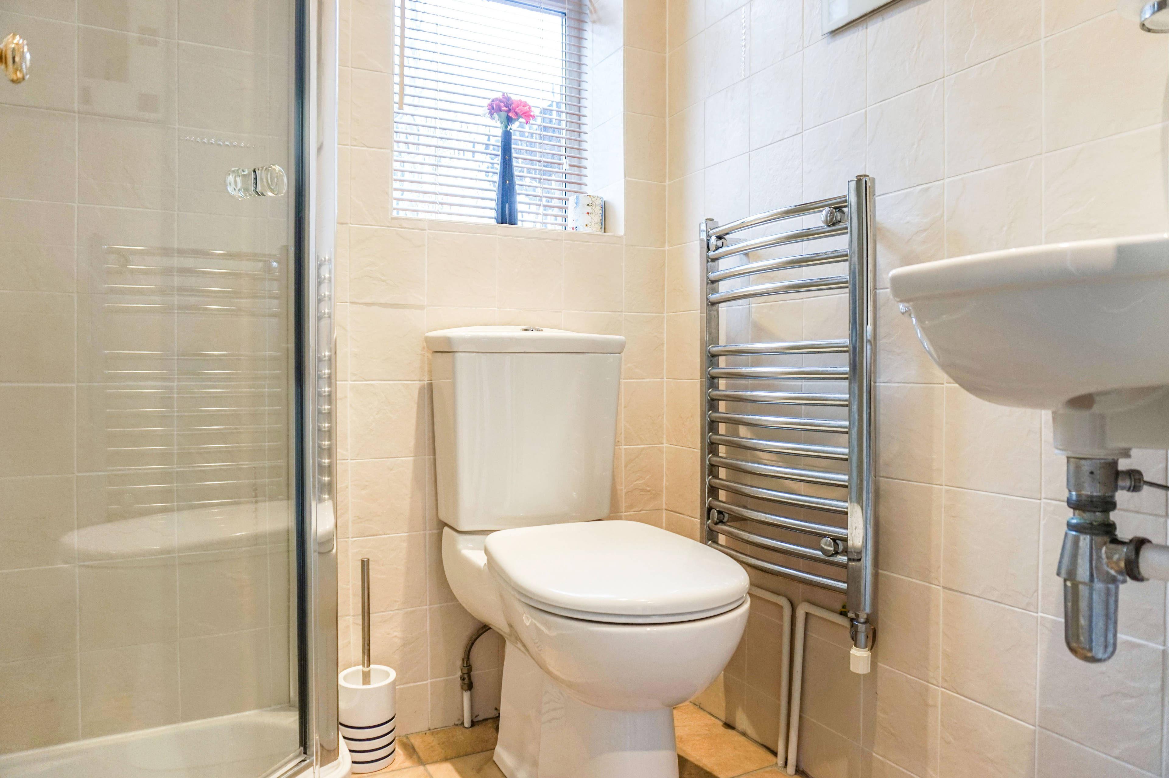 Downstairs Shower