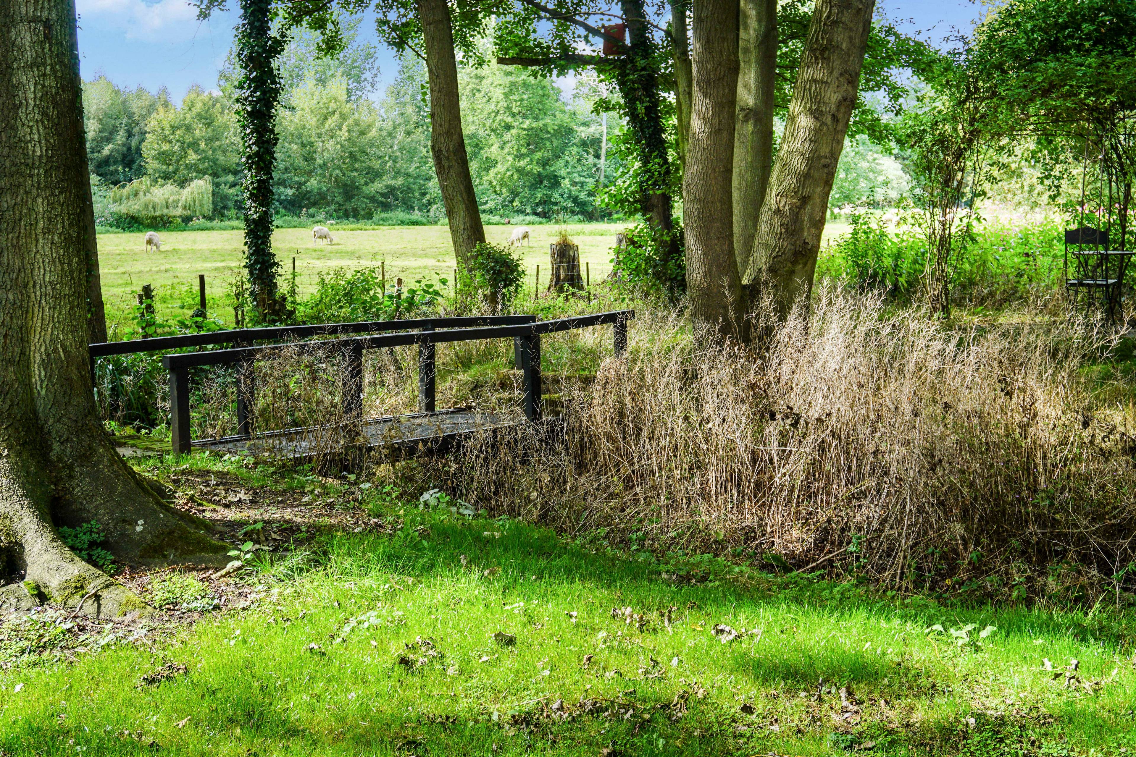 Communal Meadow