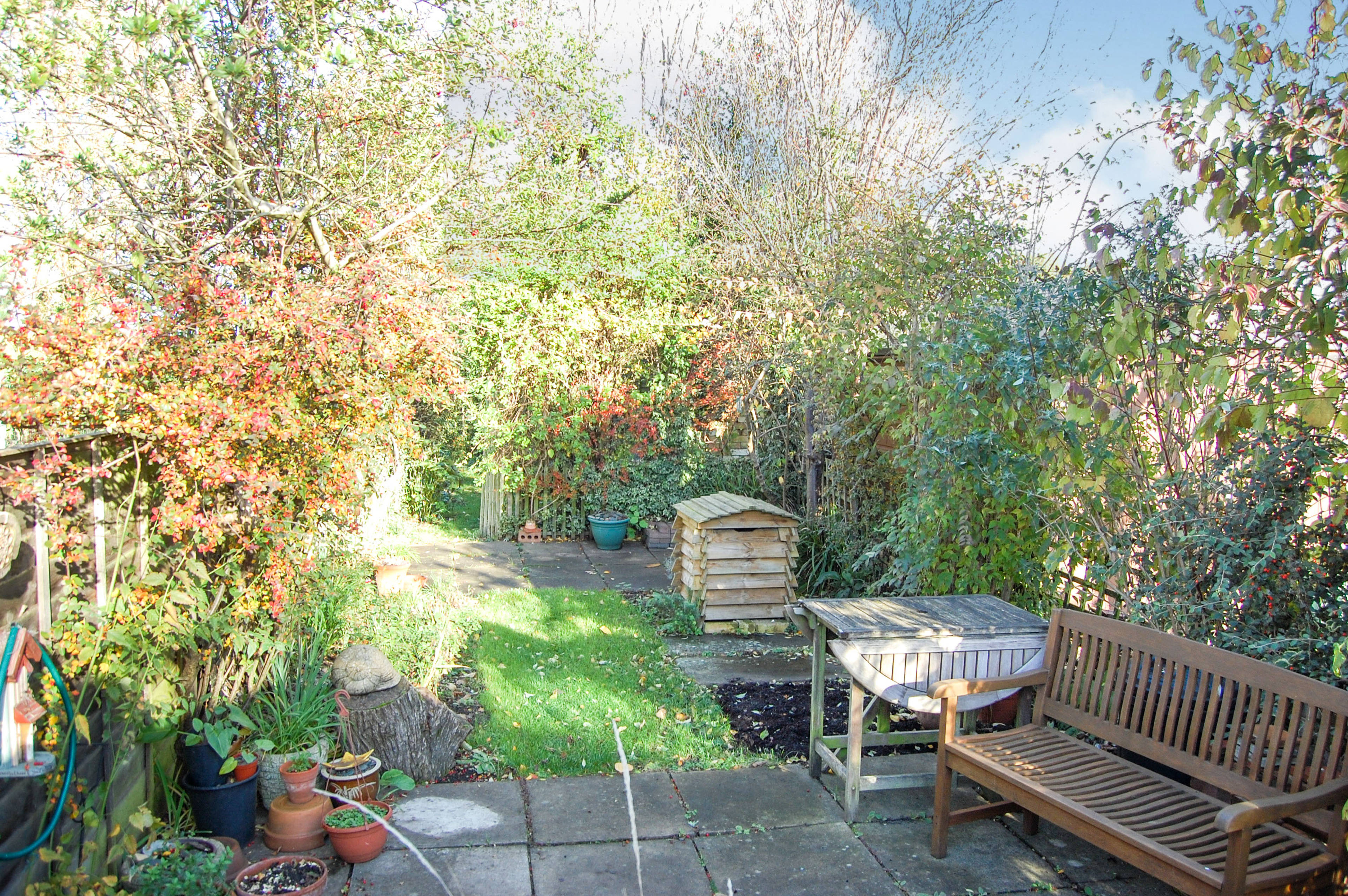 Garden