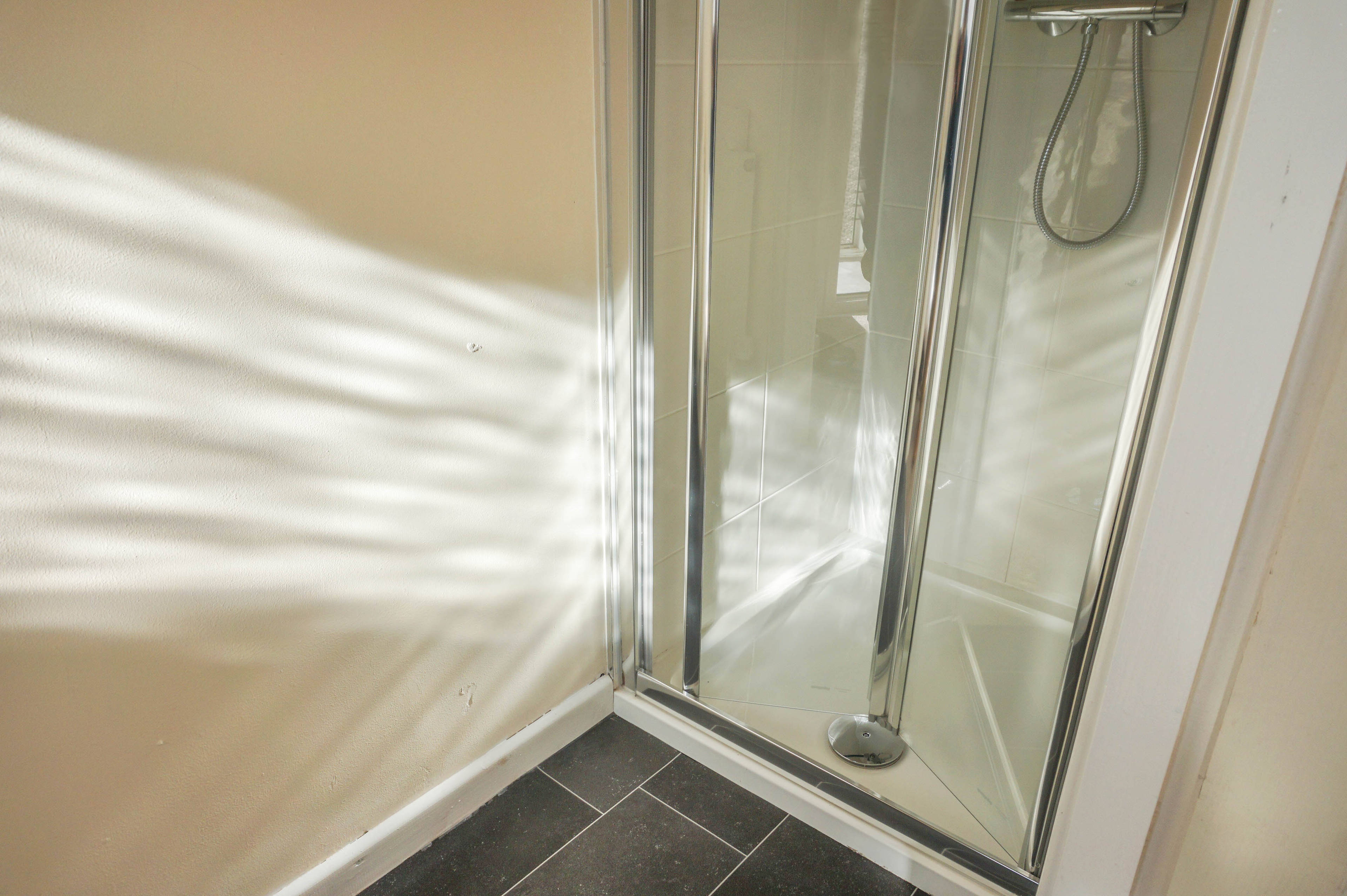 Downstairs Shower