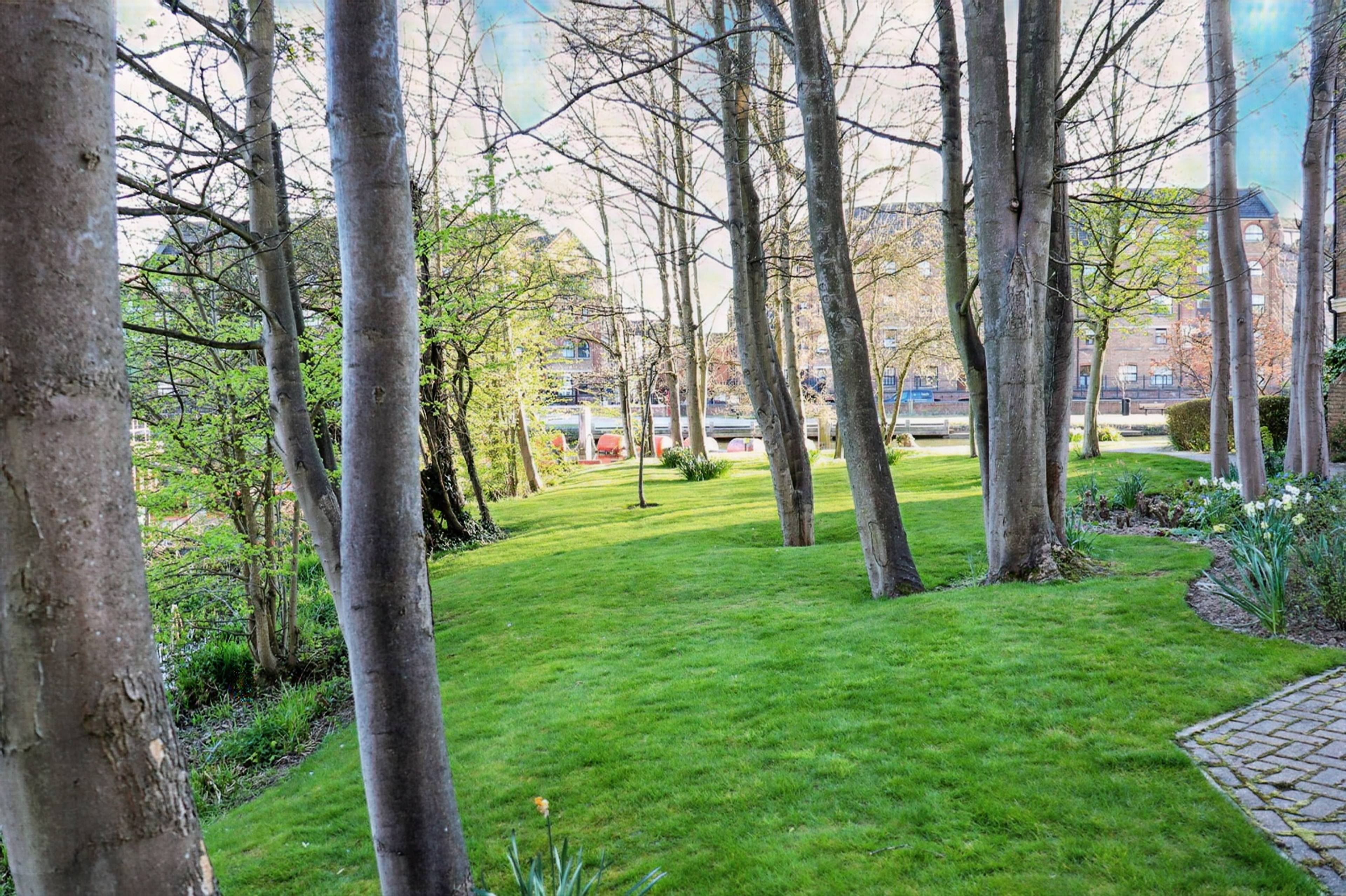 Communal Gardens