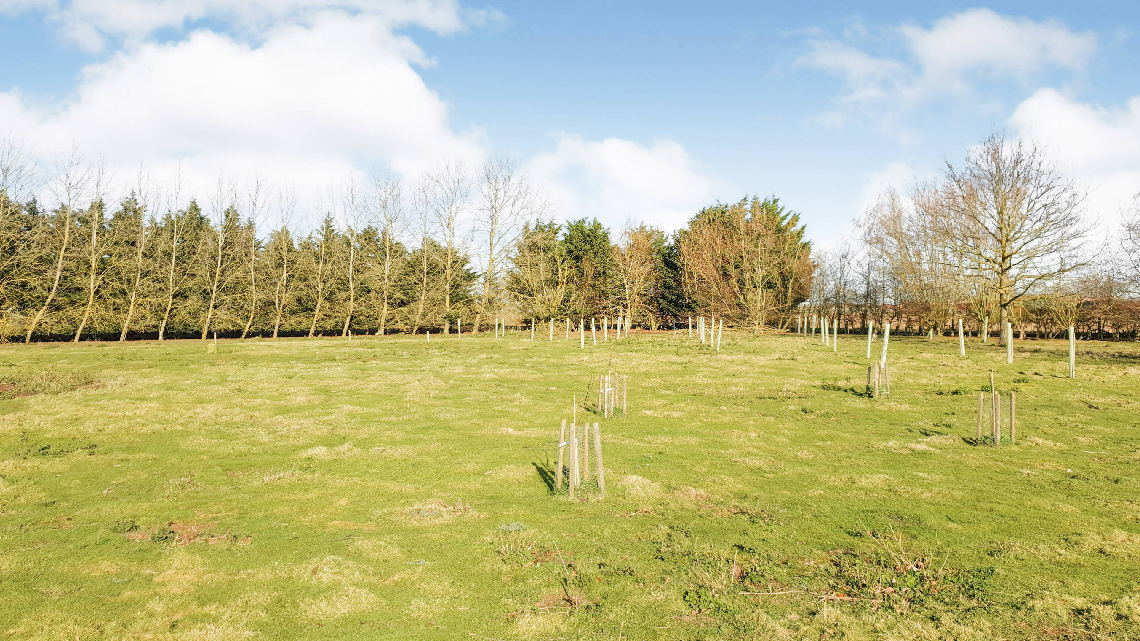 Orchard