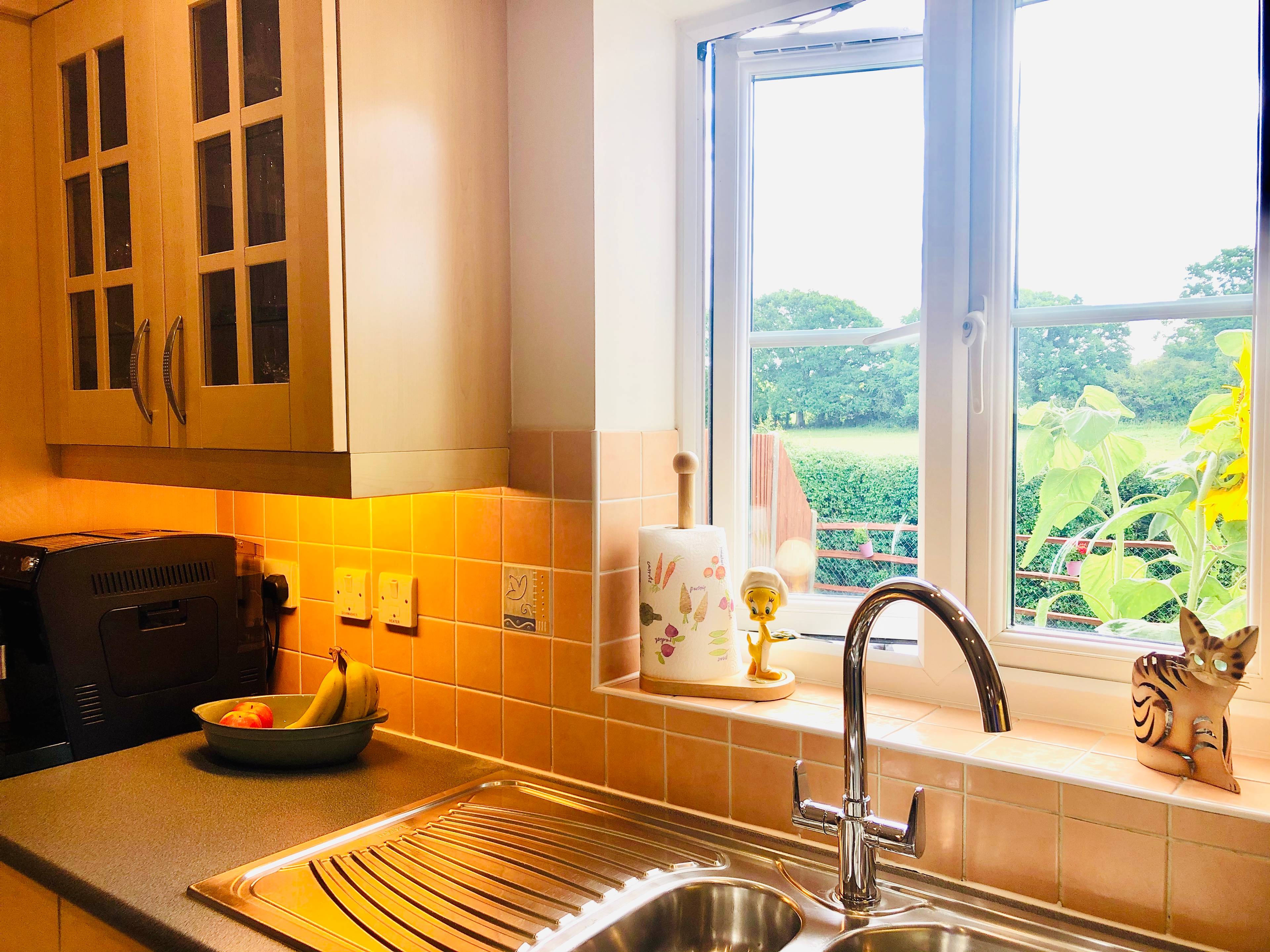 Kitchen/Breakfast