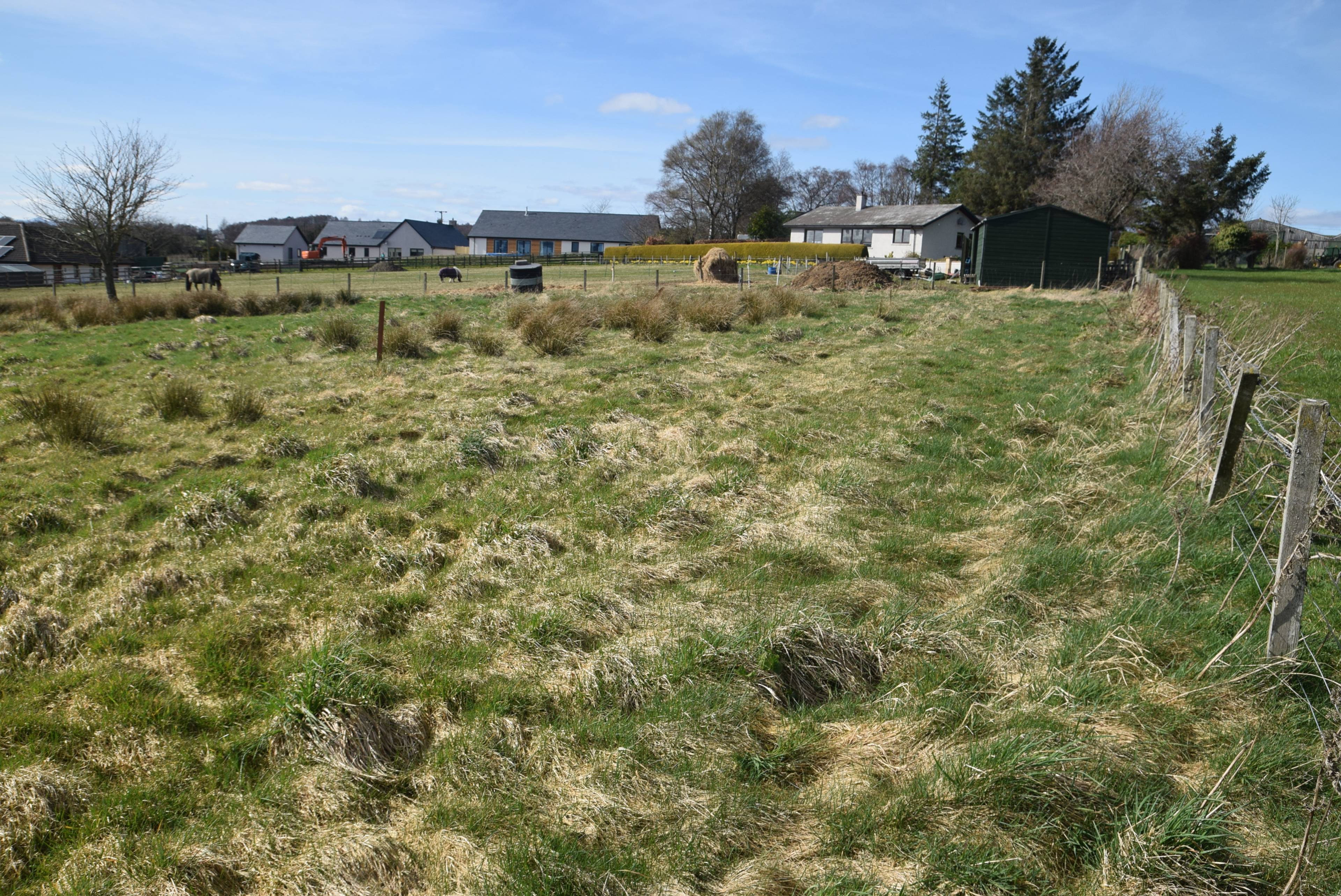 Surrounding Area