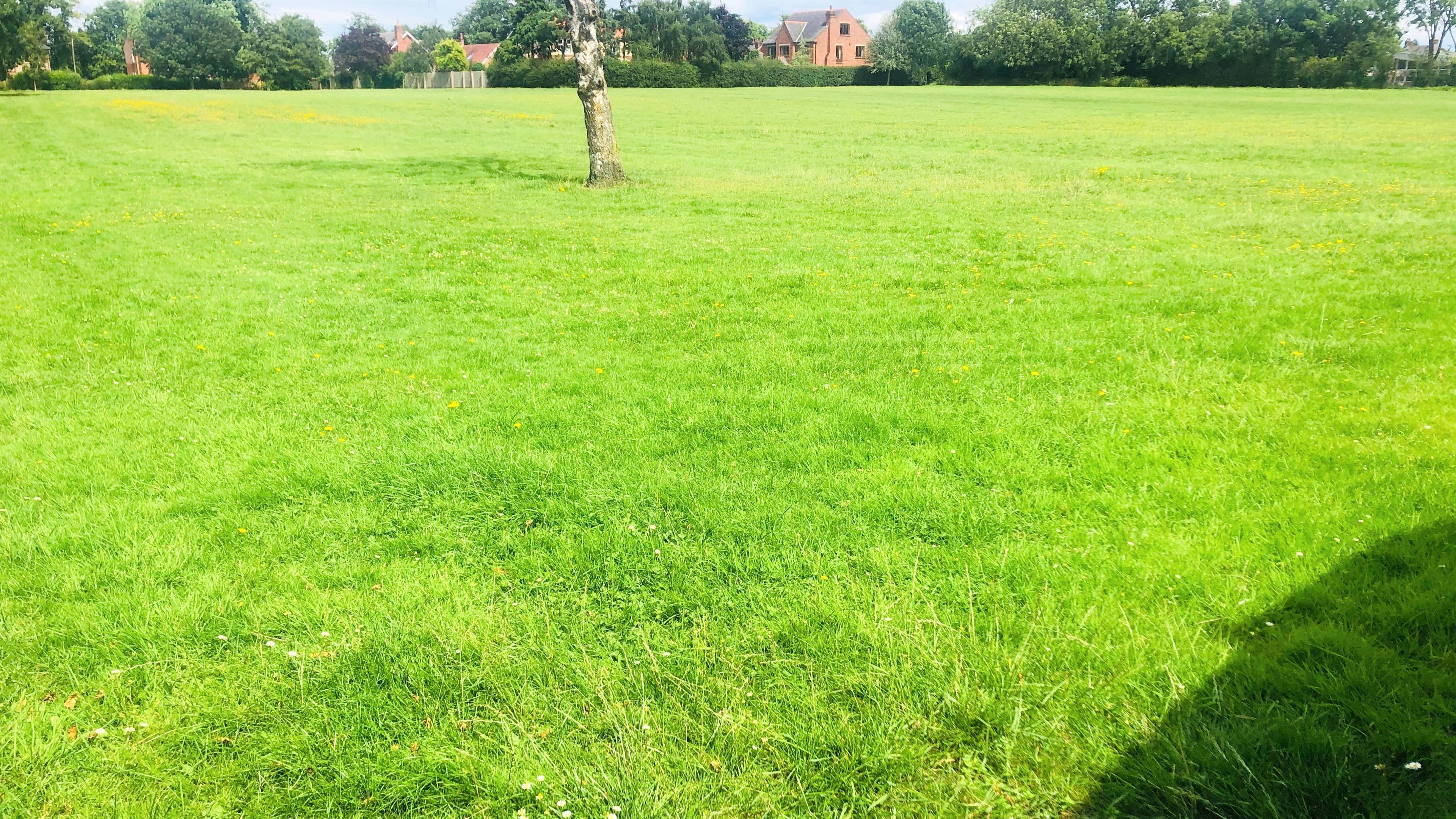 Field