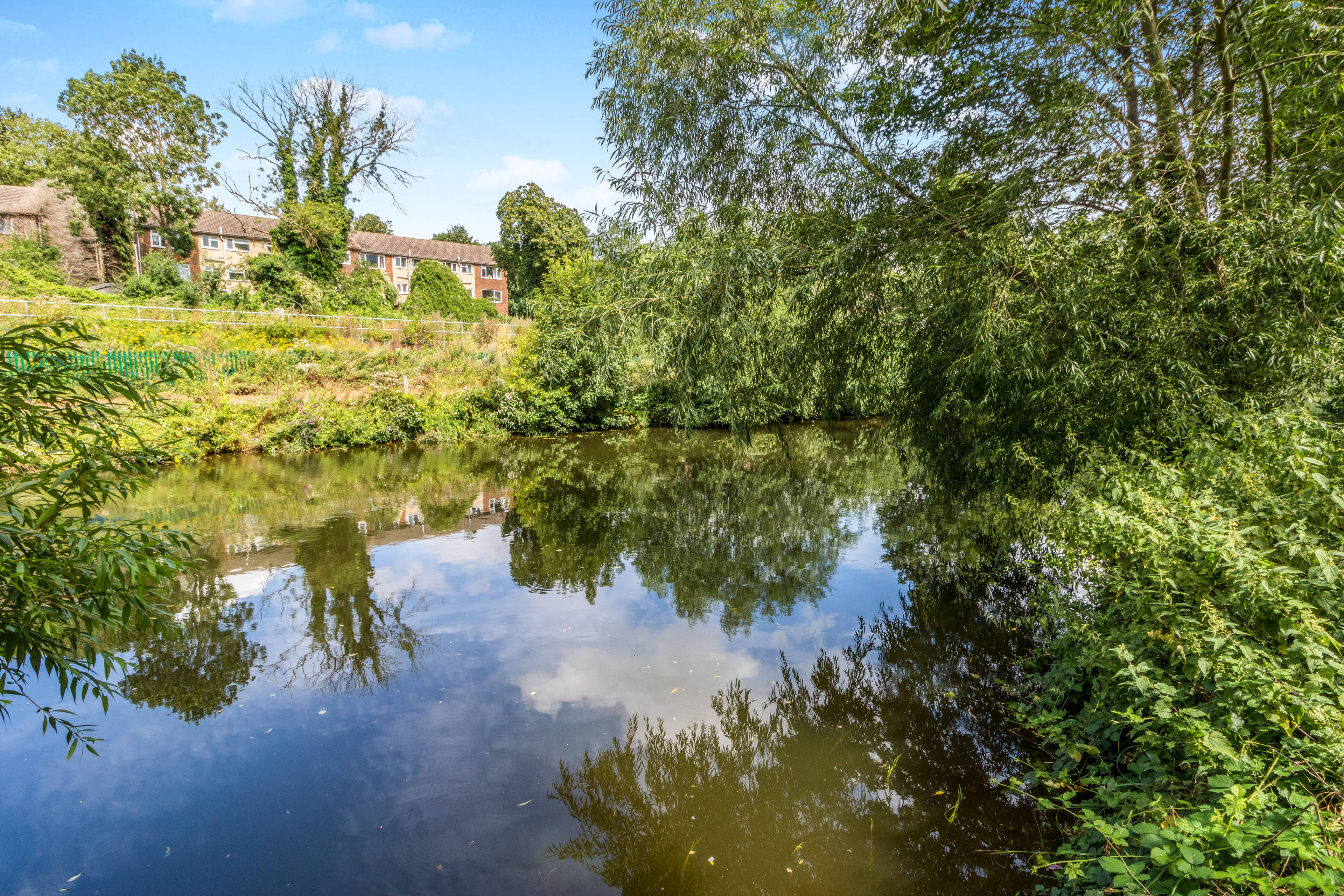 Nearby River