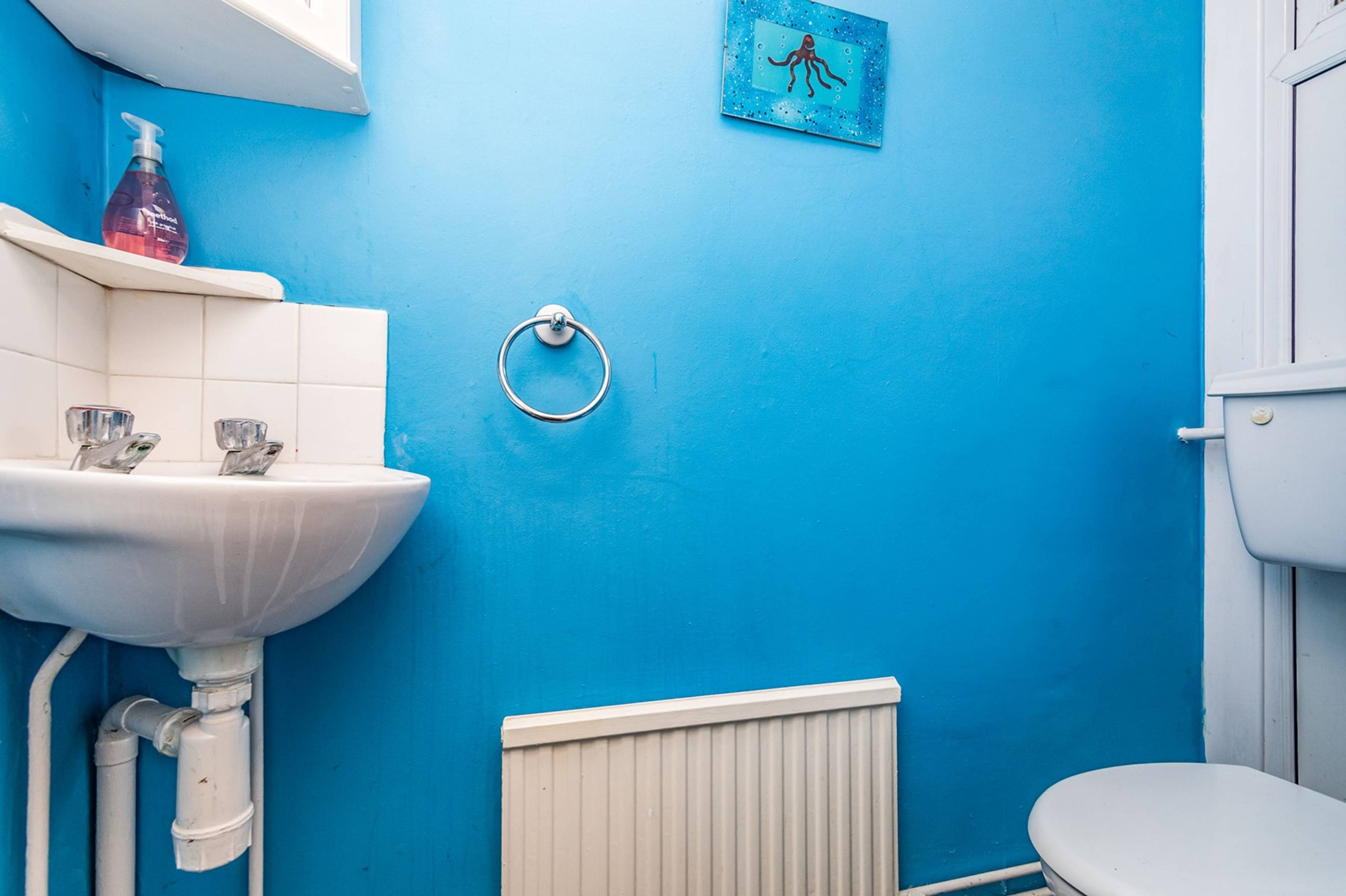 Downstairs Cloakroom