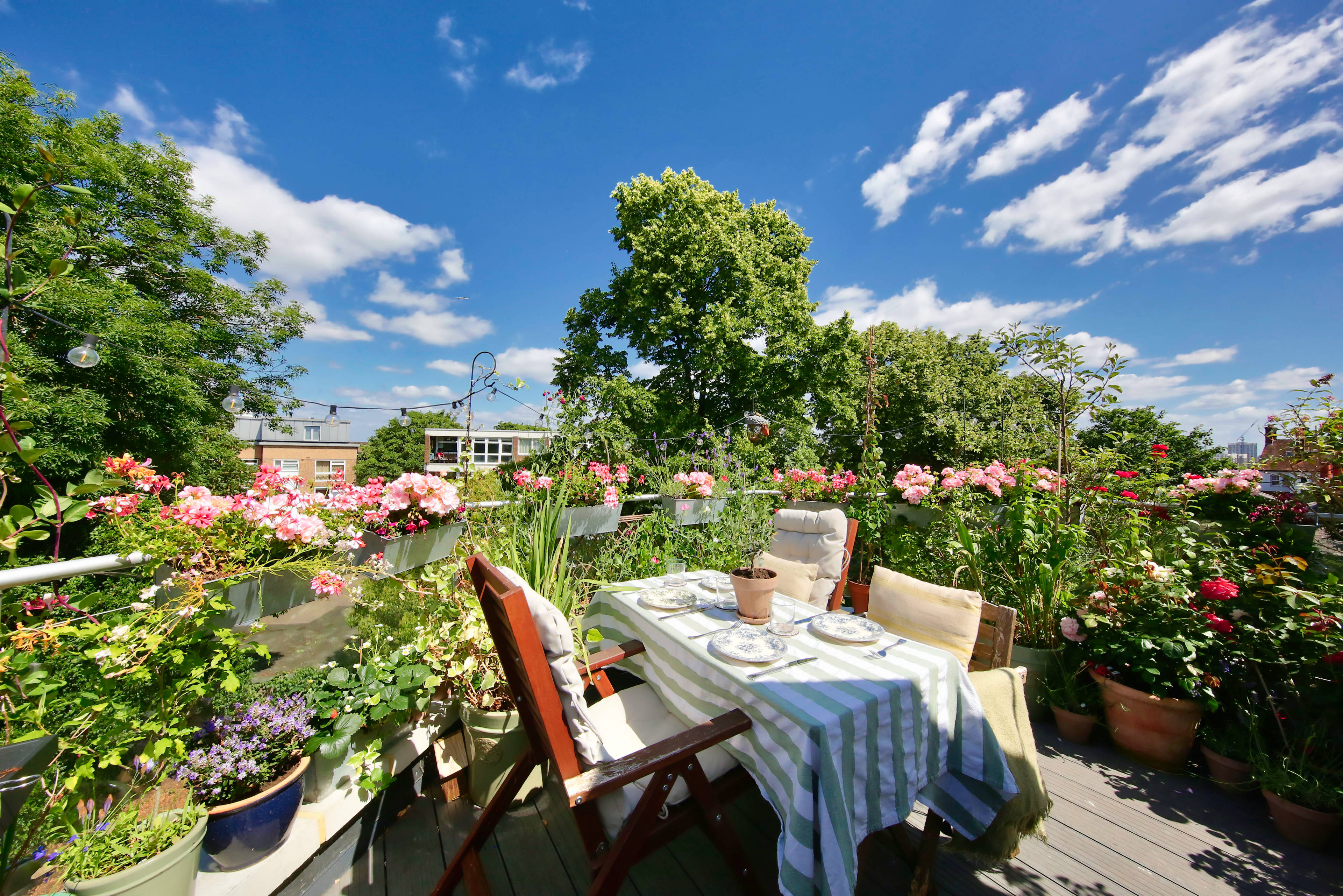 Sun Terrace