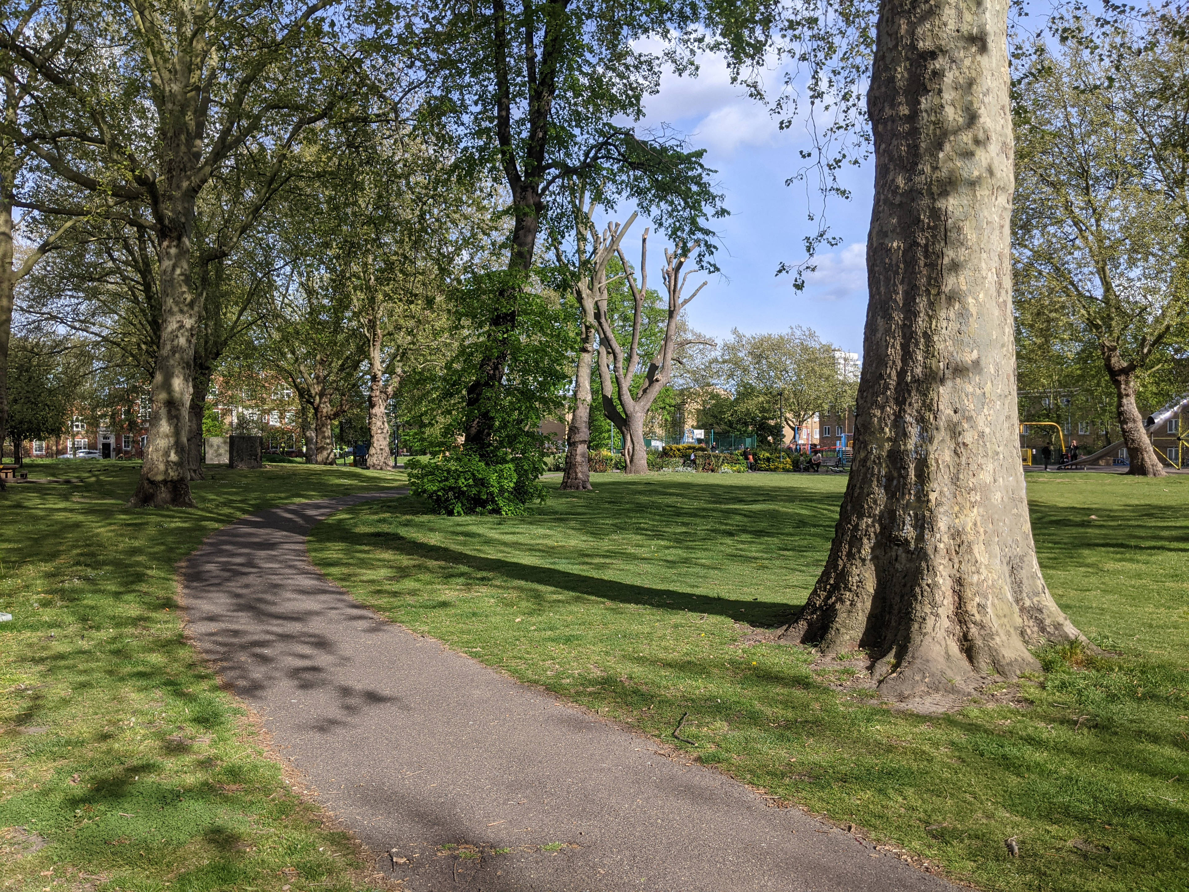 The Park