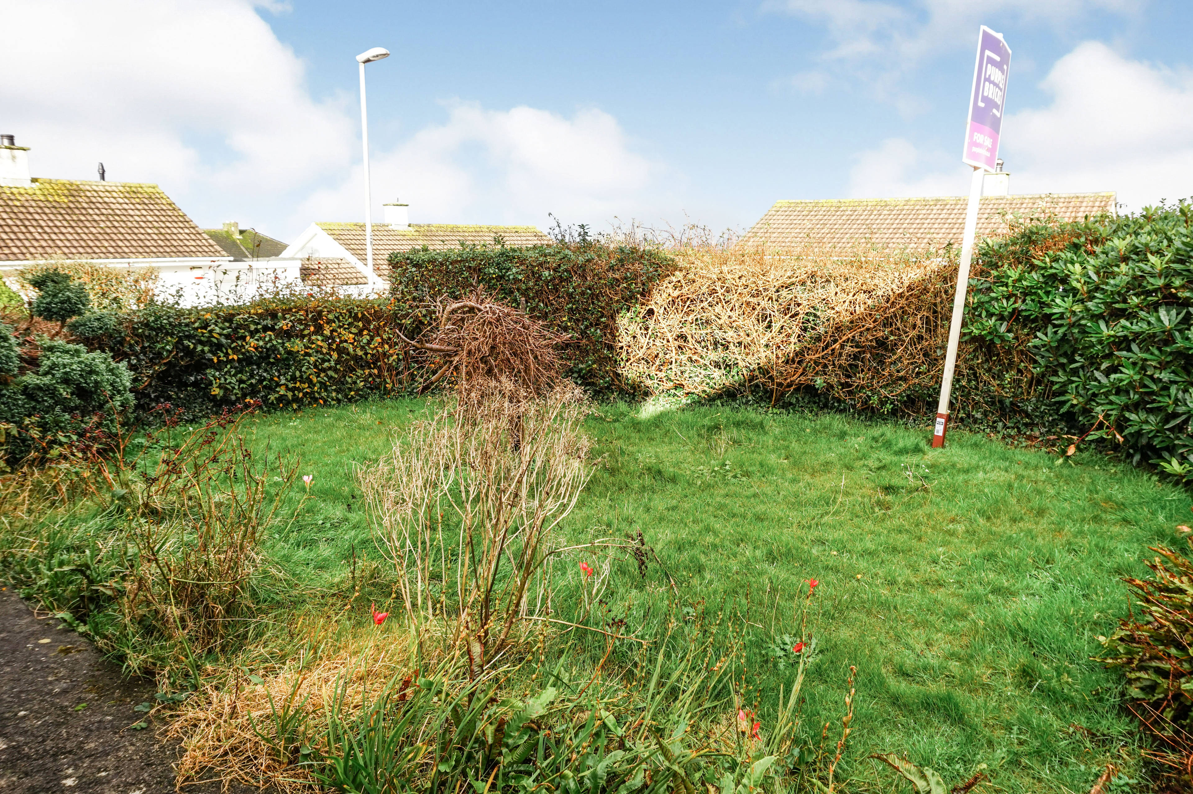 Front Garden