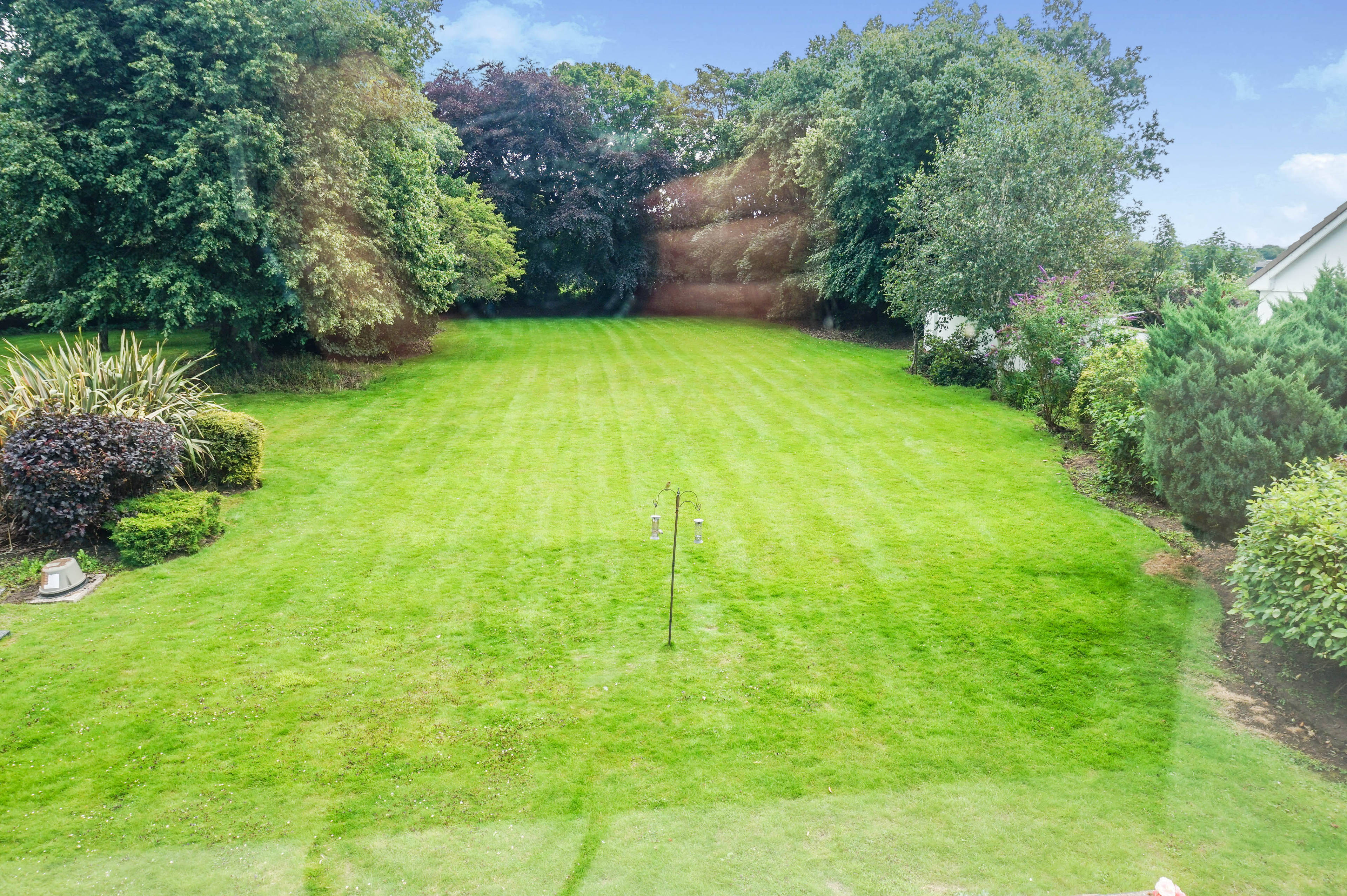 Grounds