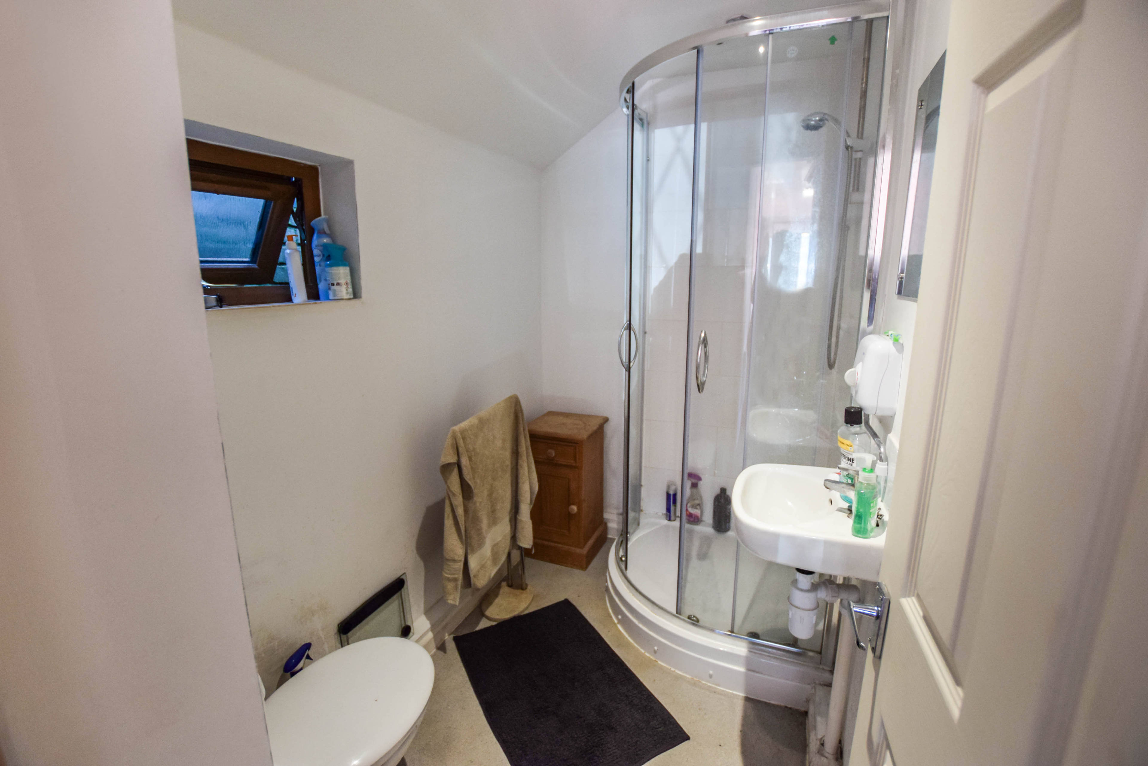 Annexe Shower Room