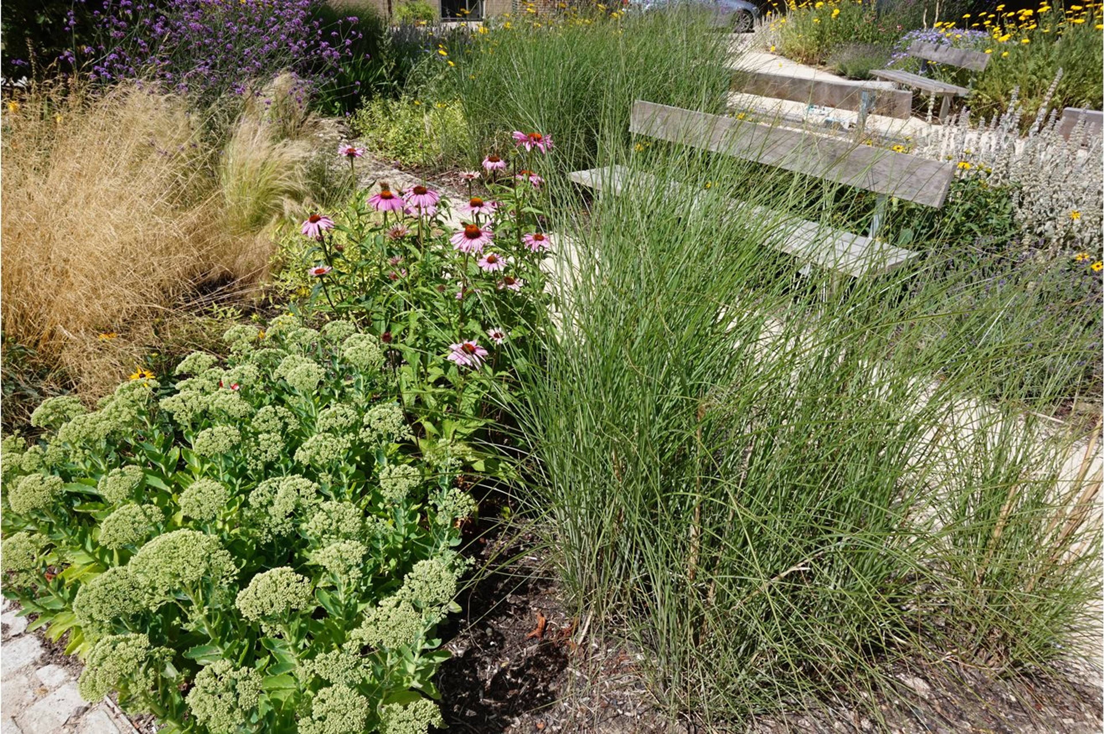 Communal Gardens
