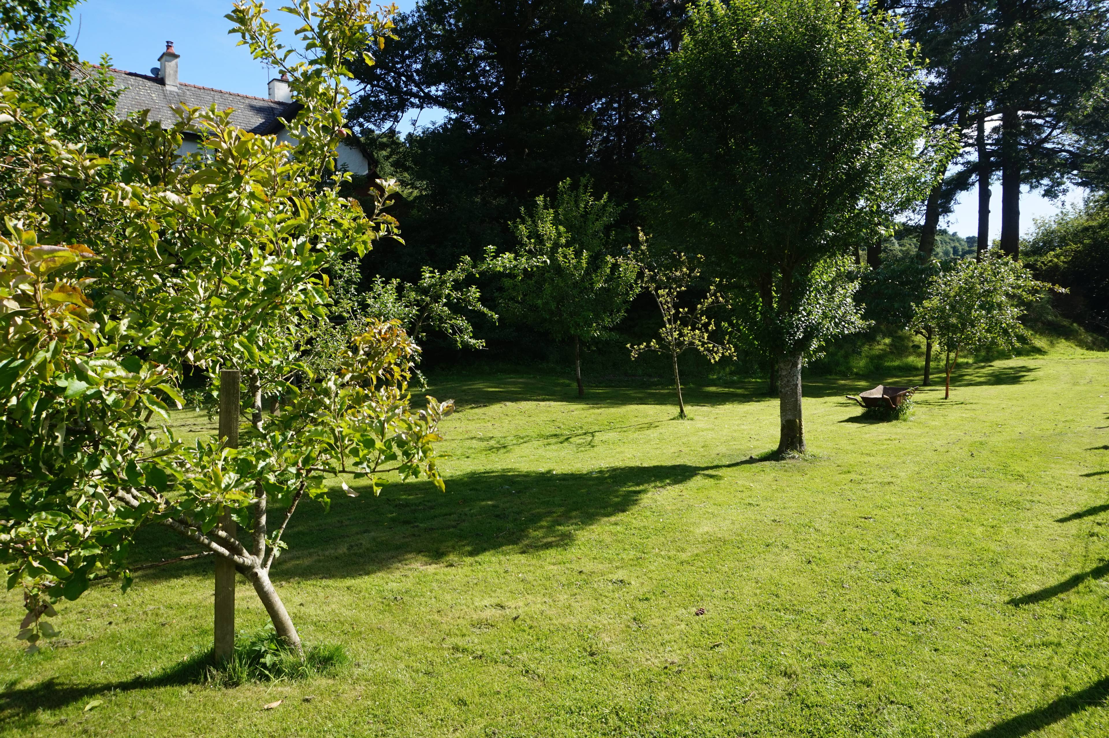 Orchard
