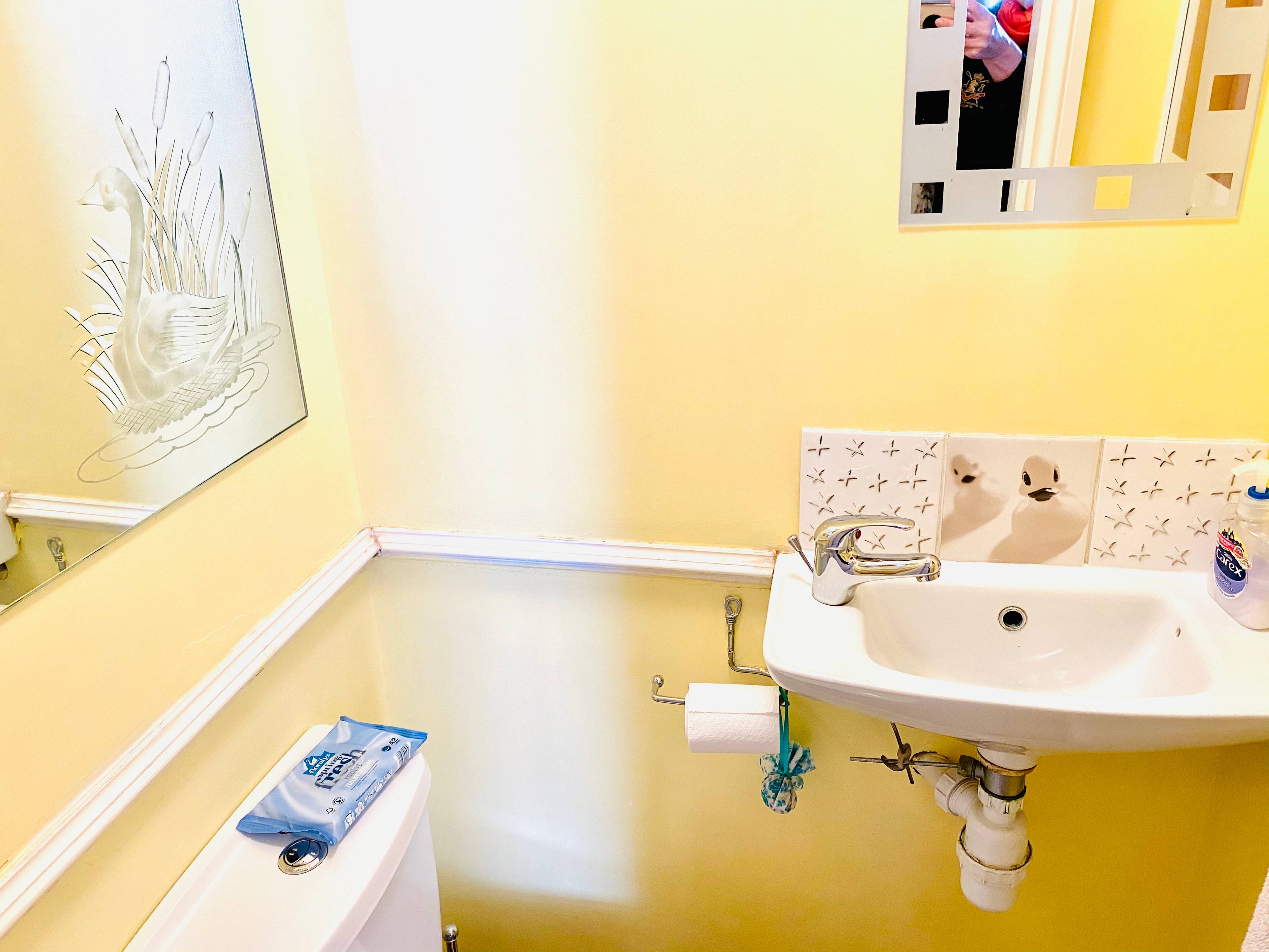 Downstairs Cloakroom
