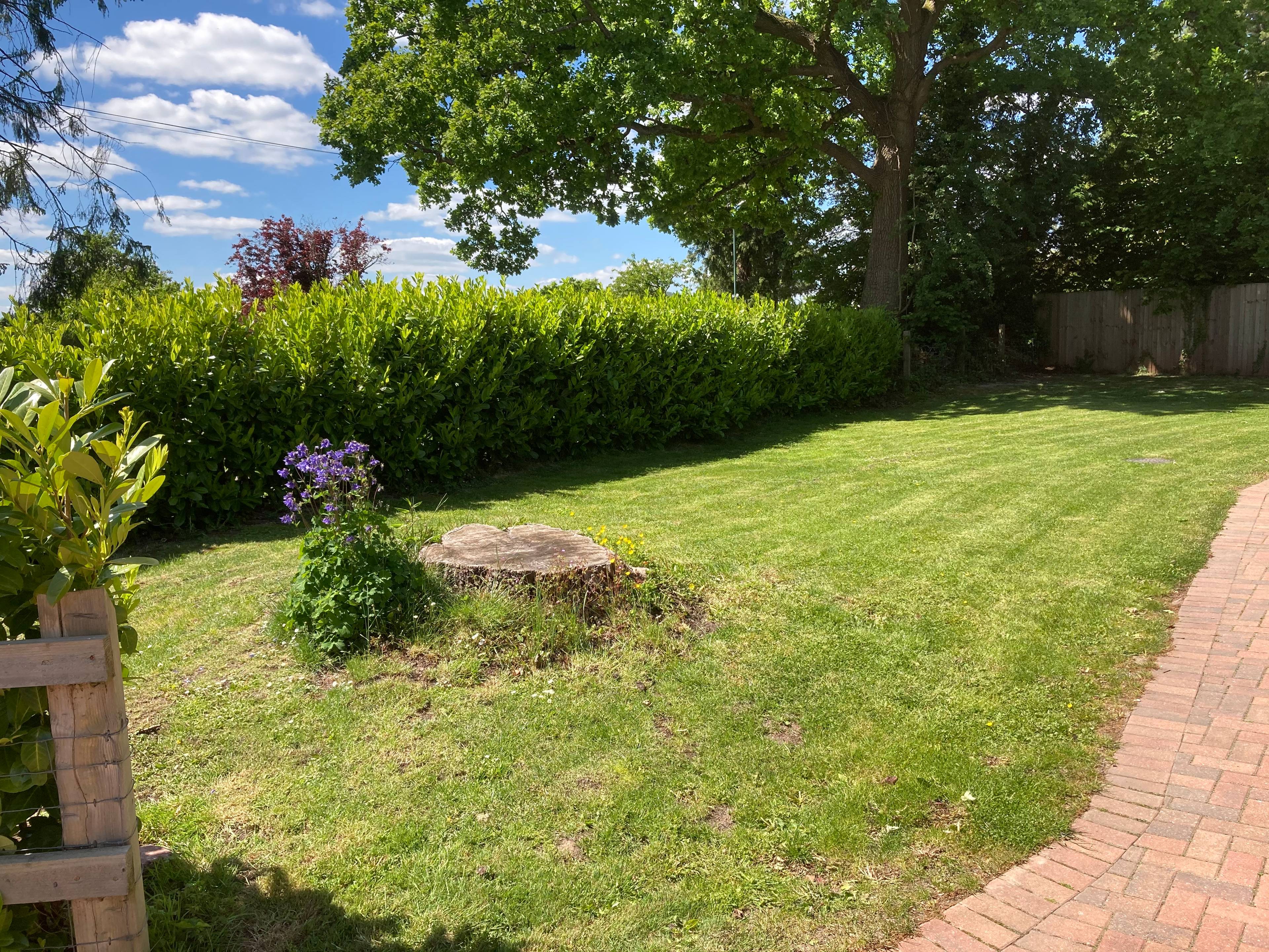 Front Garden