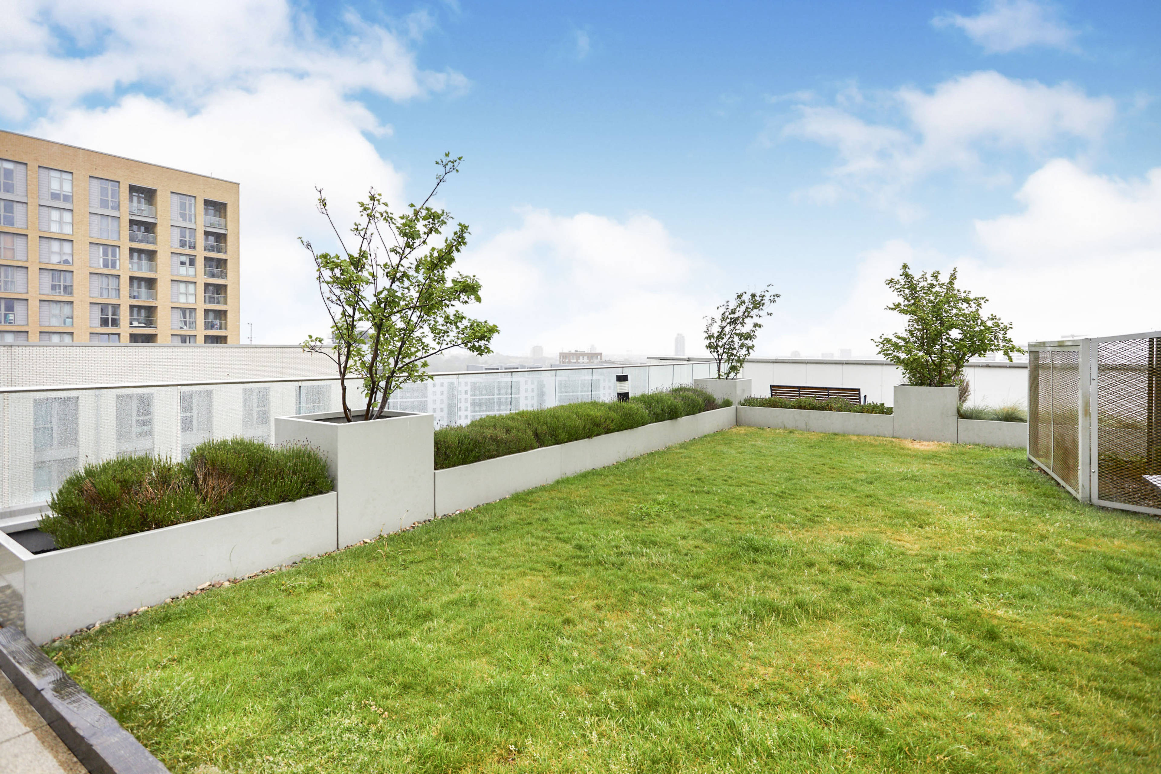 Roof Terrace
