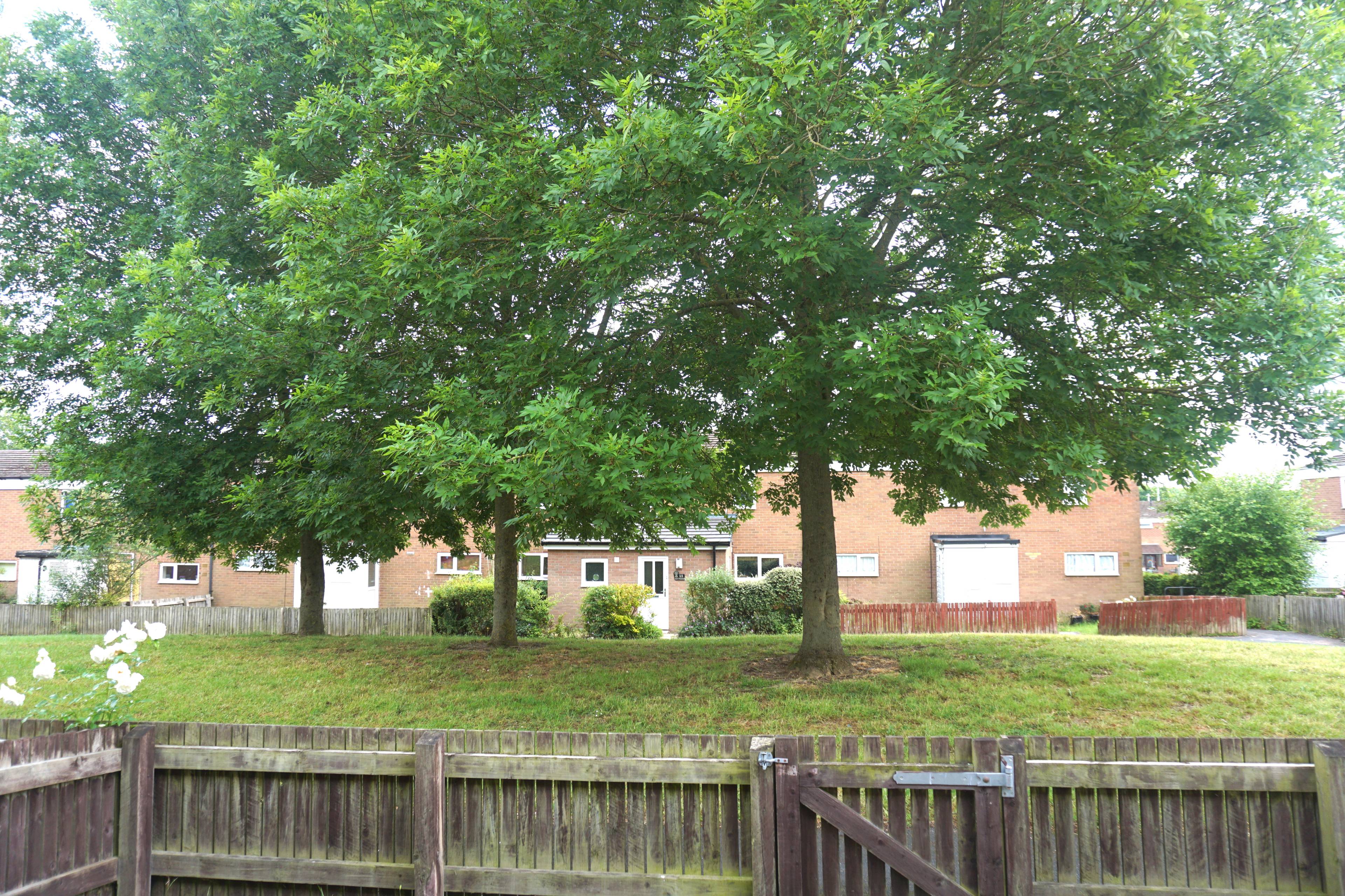 Front View