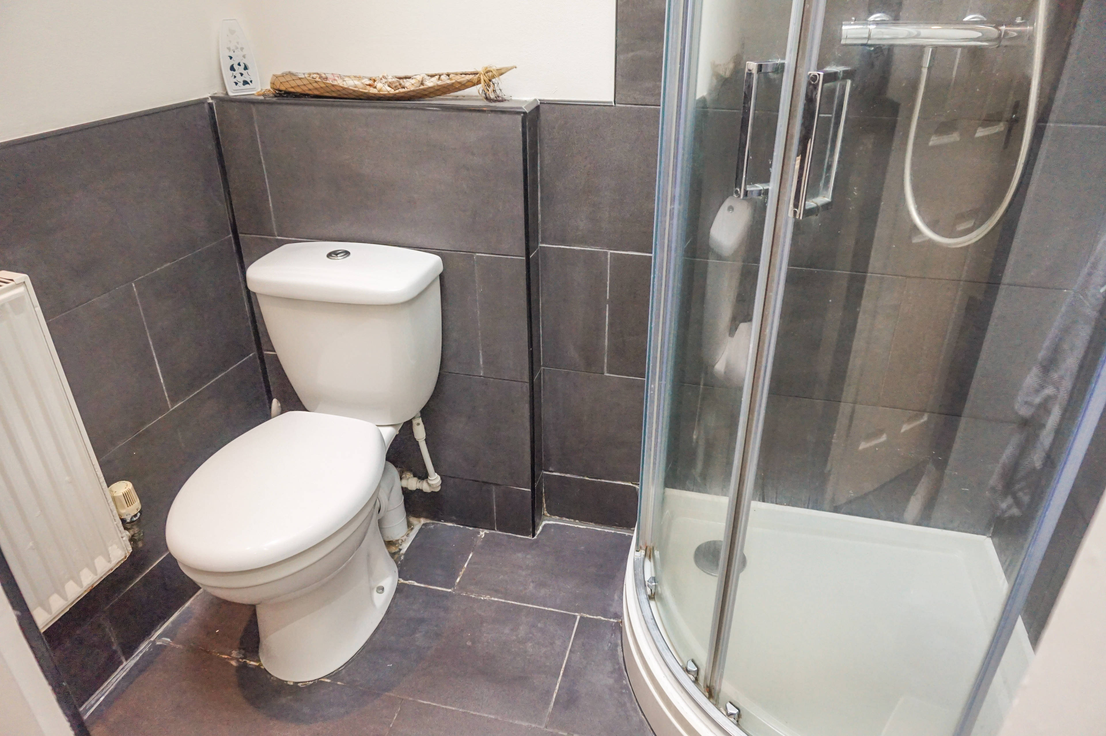 Downstairs Shower