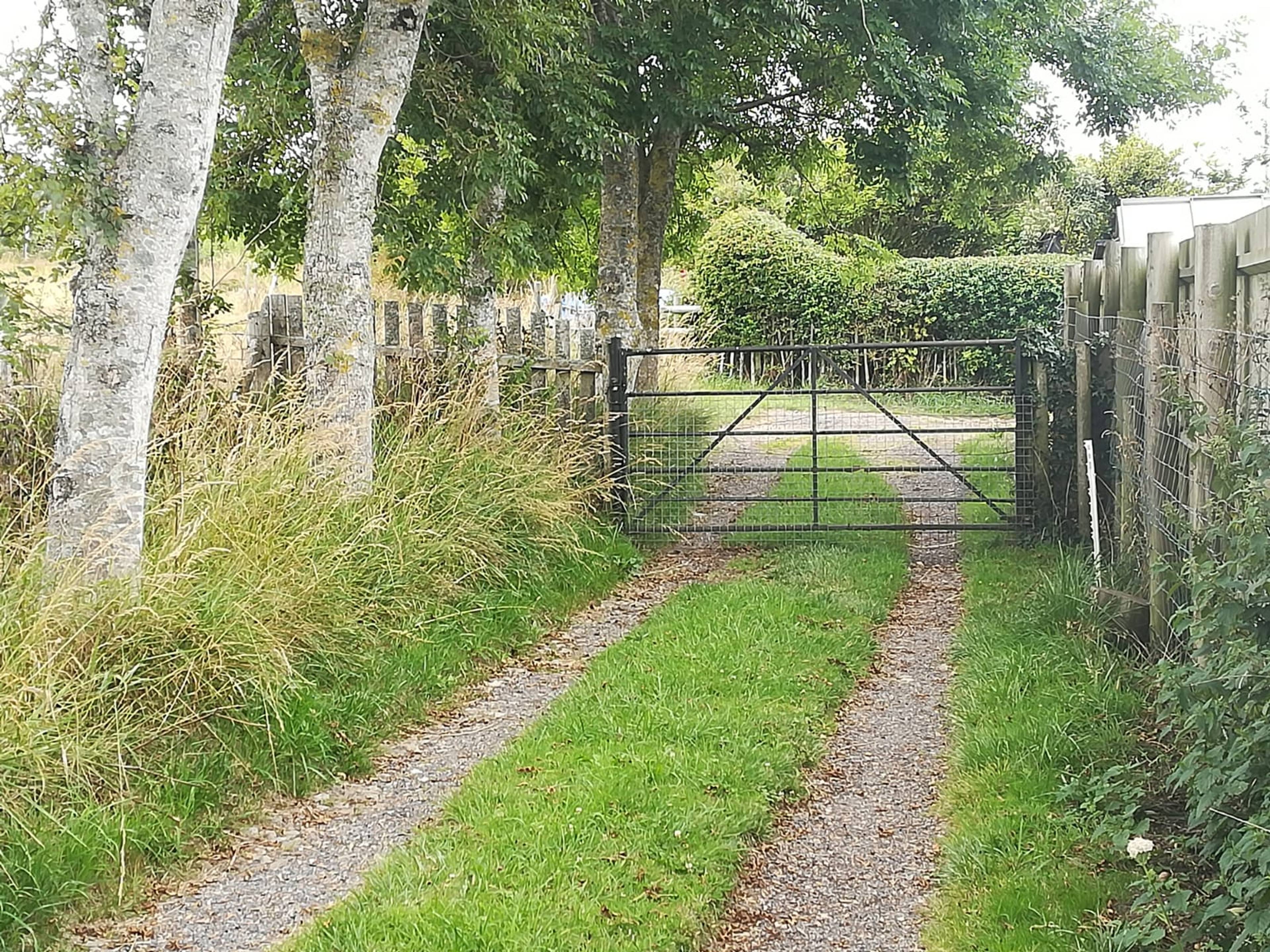 Driveway