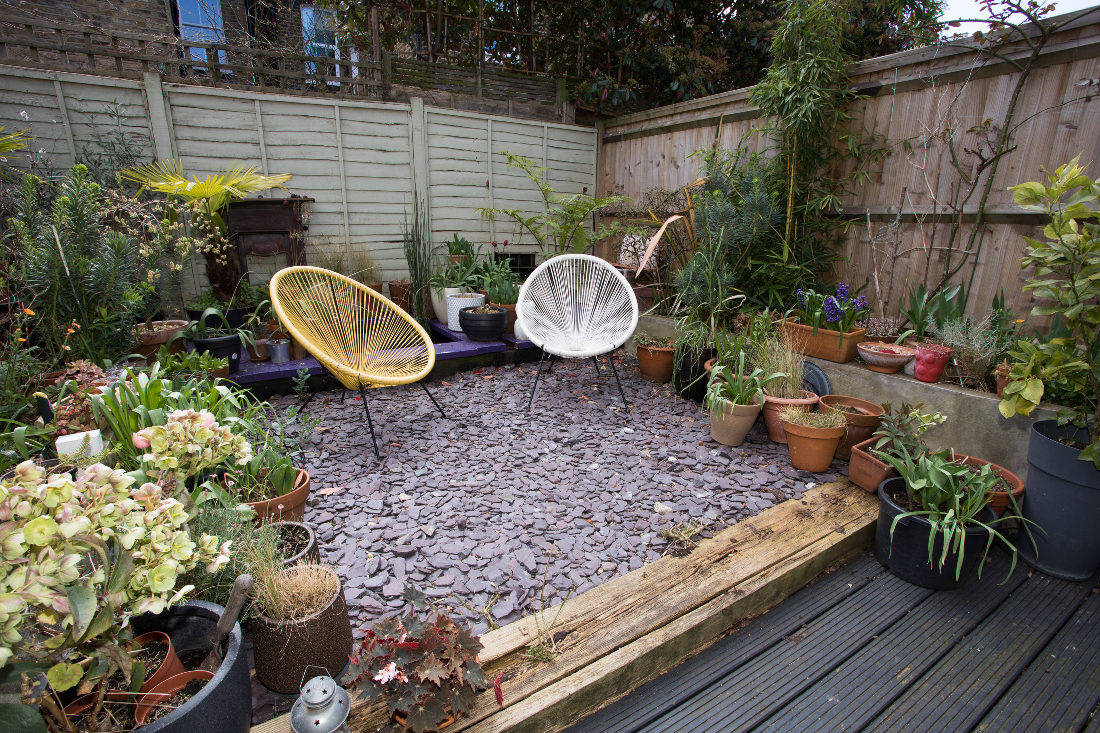 garden