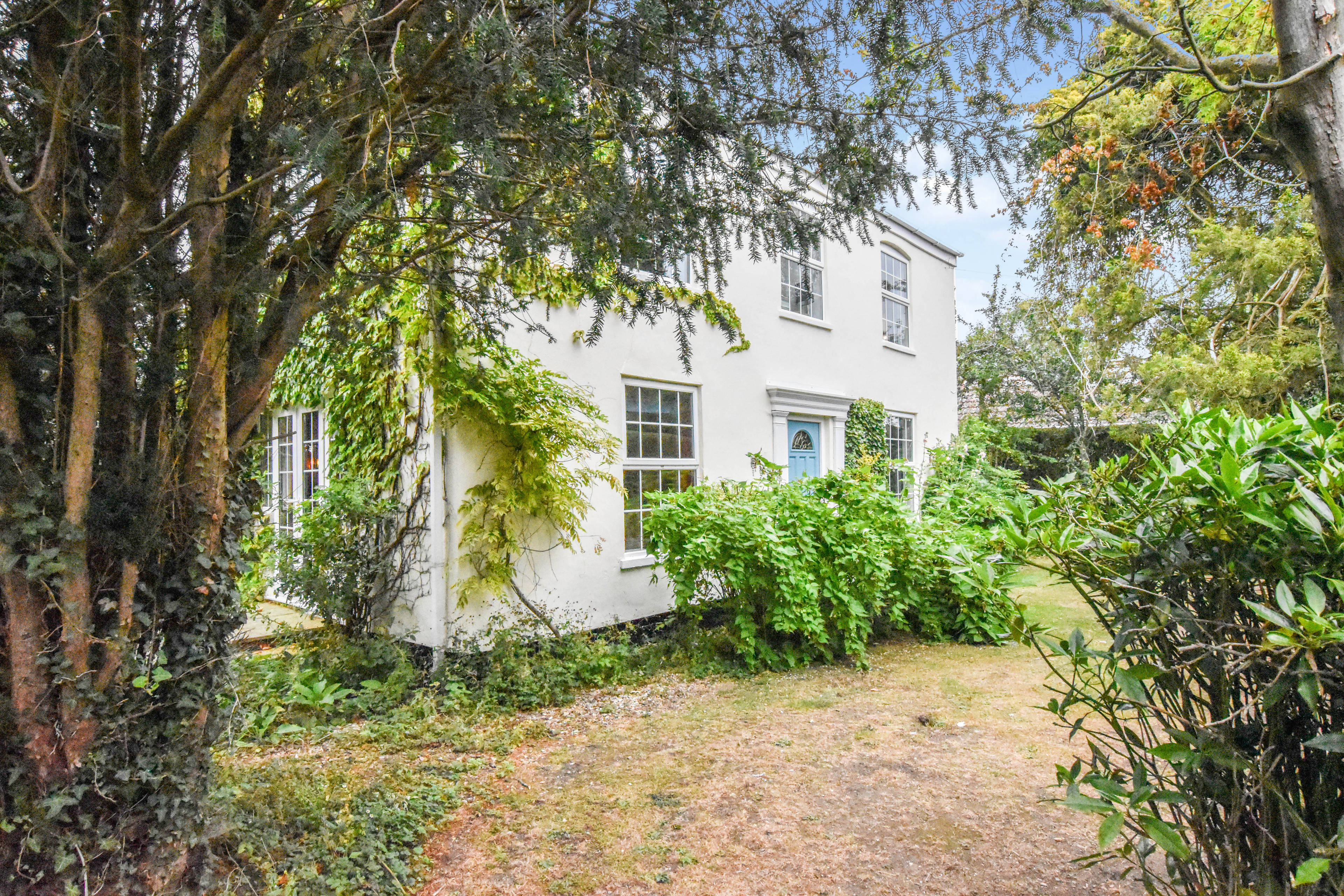 Side Garden