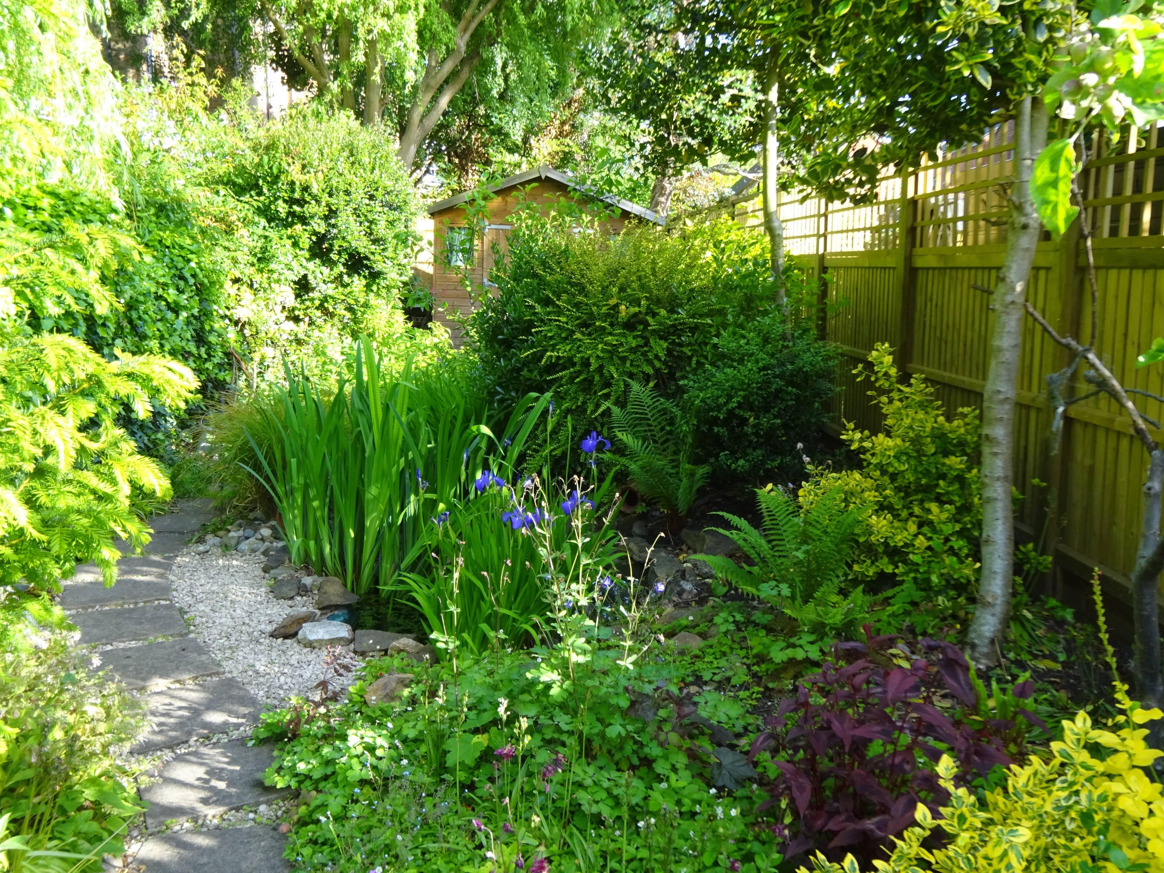 Pond 