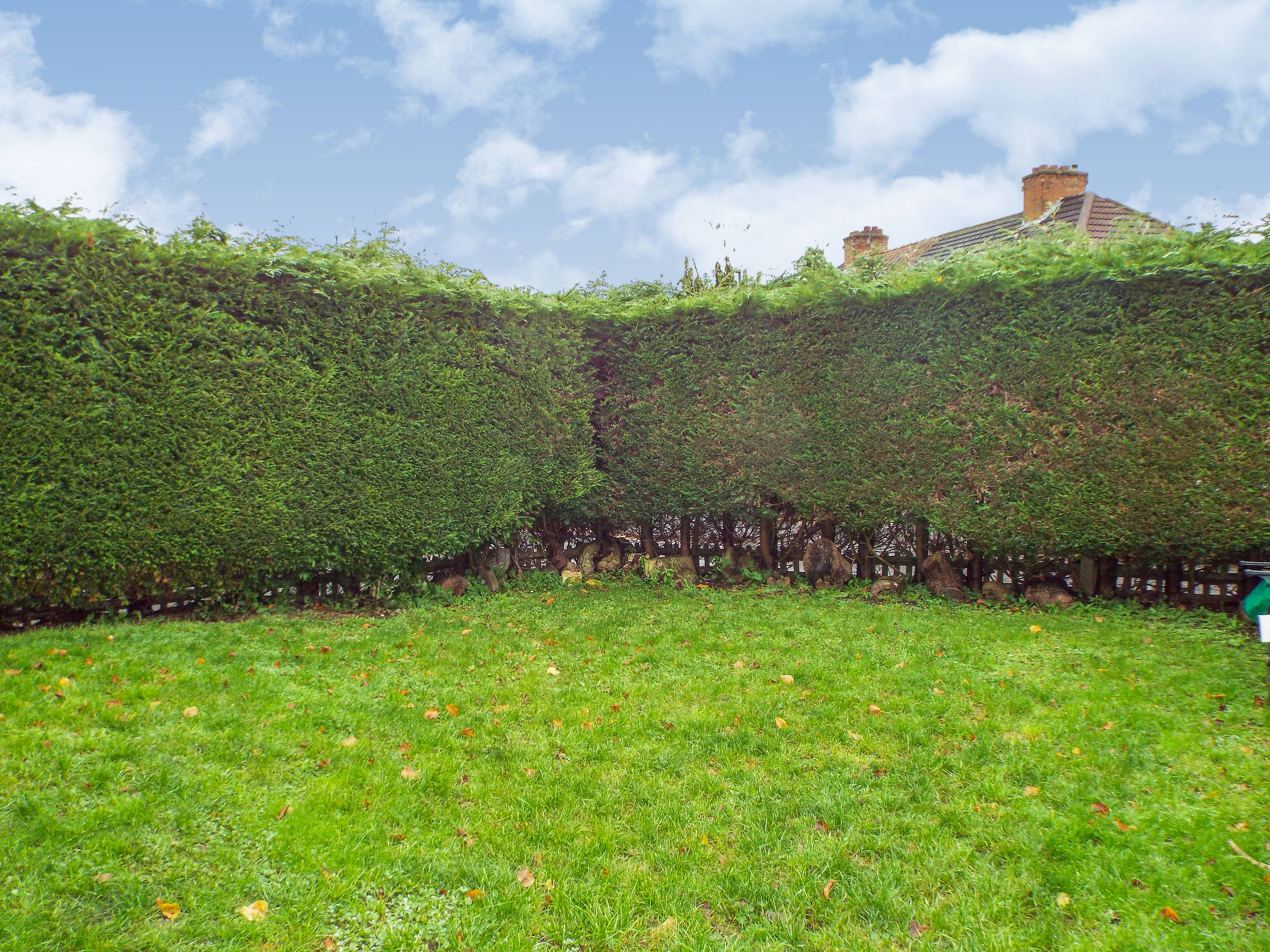 Front Garden