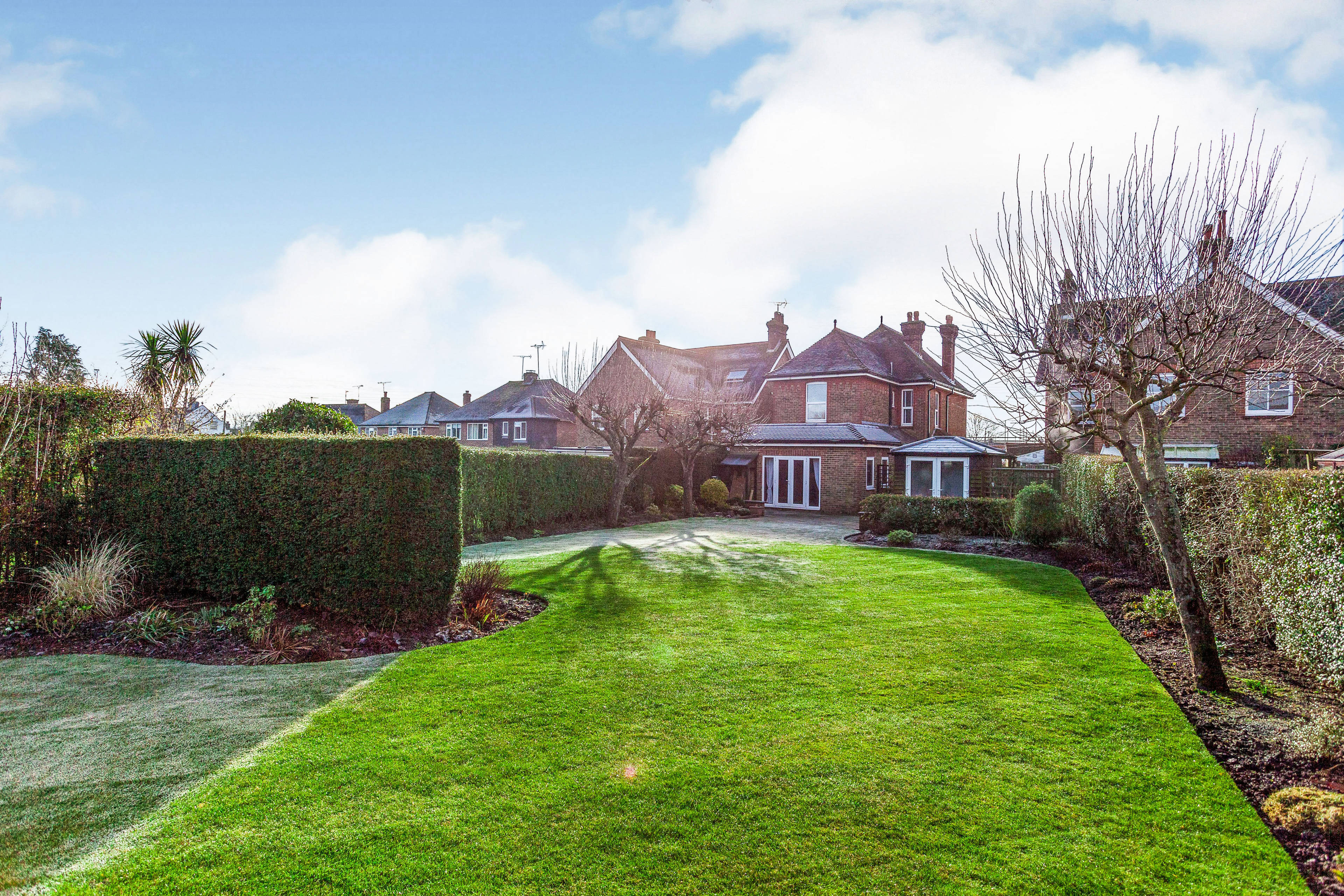 rear garden
