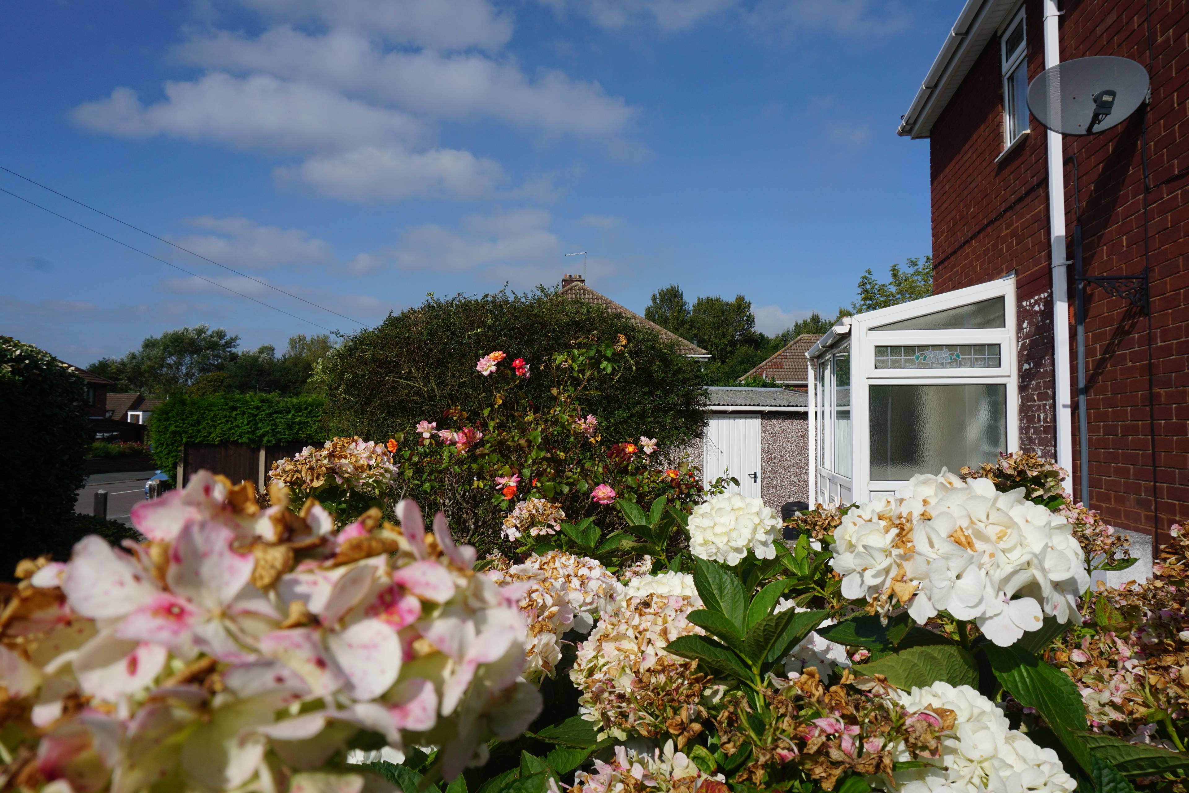 Side Garden