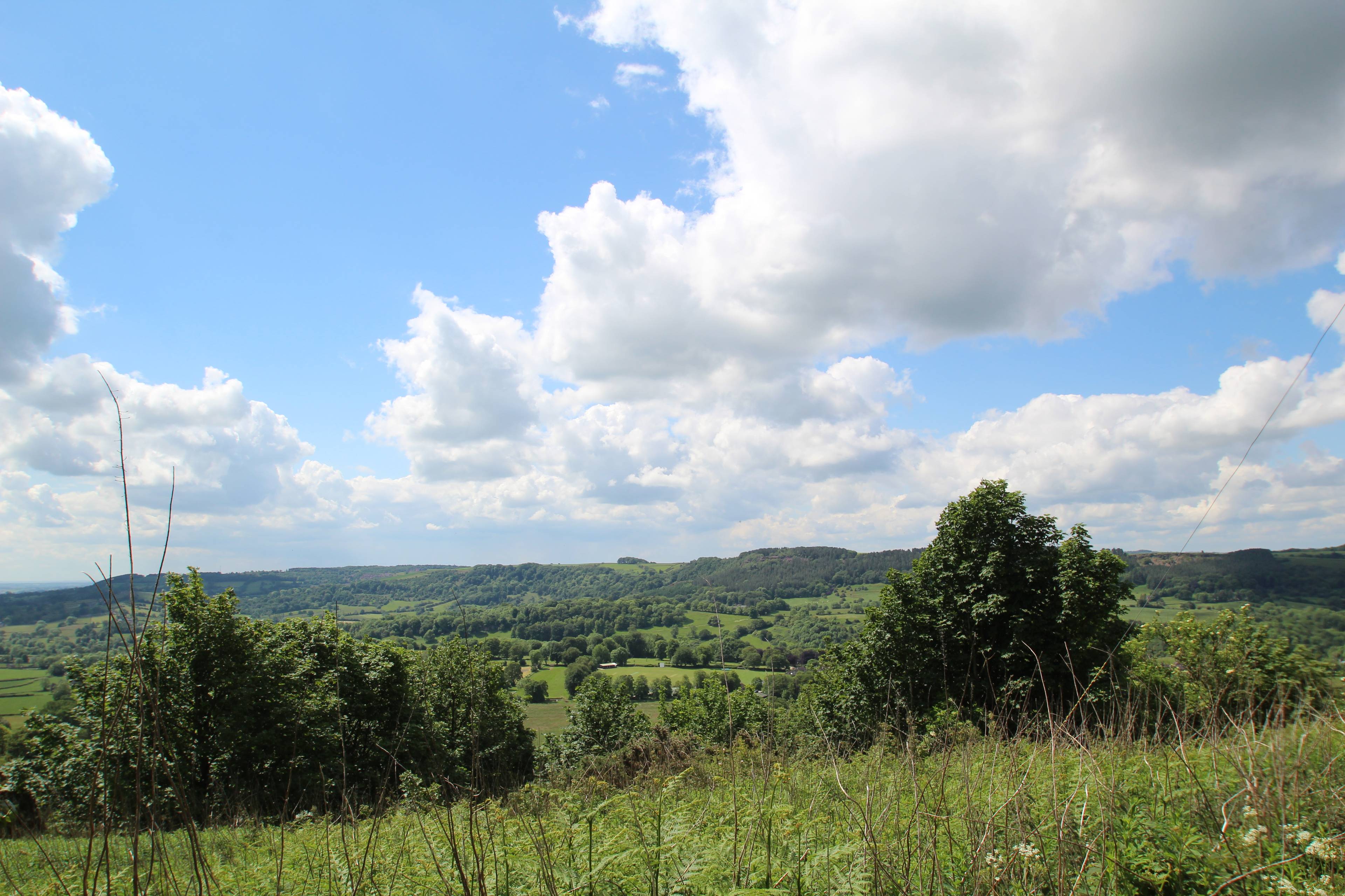 view