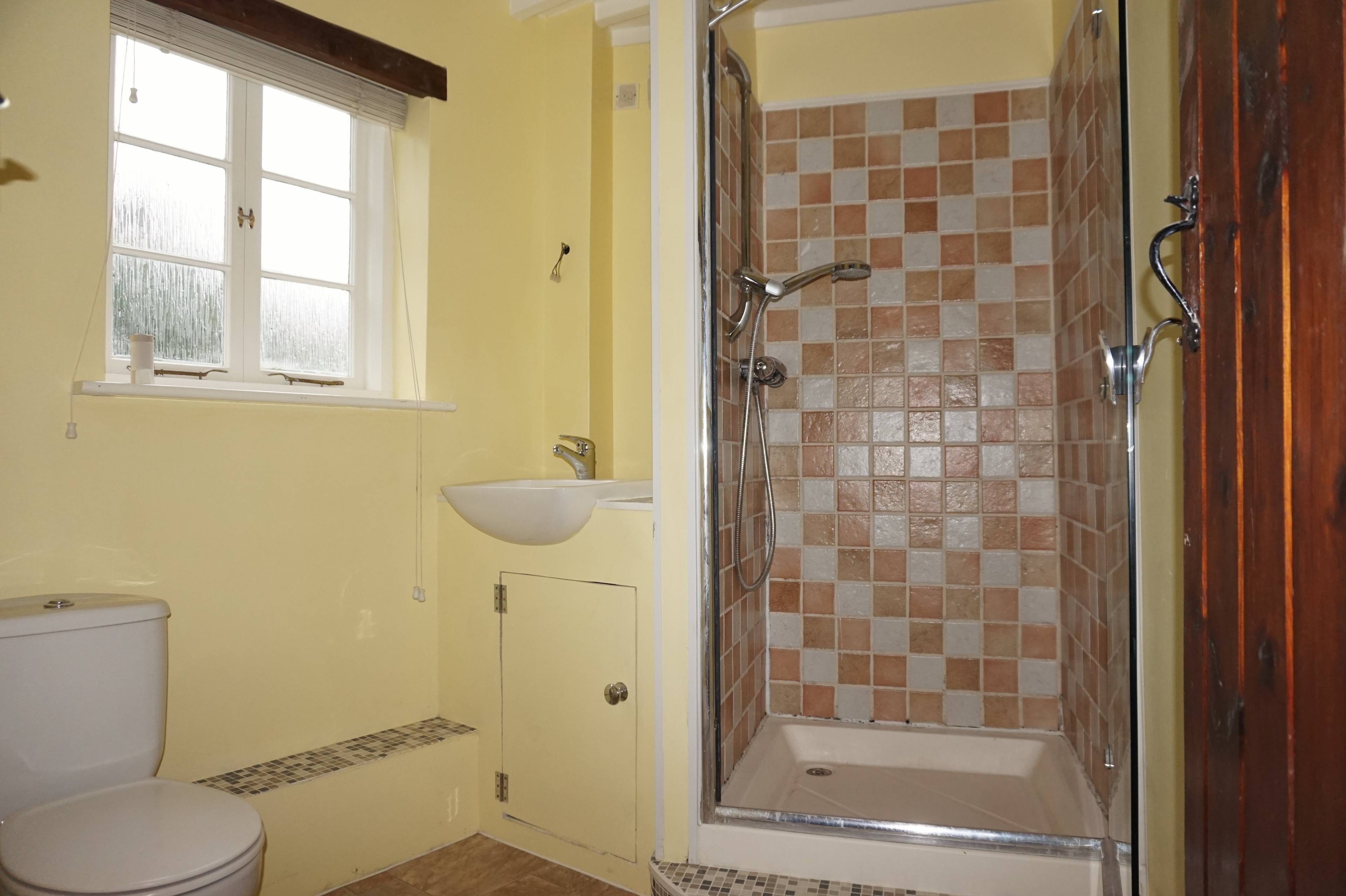Downstairs Shower