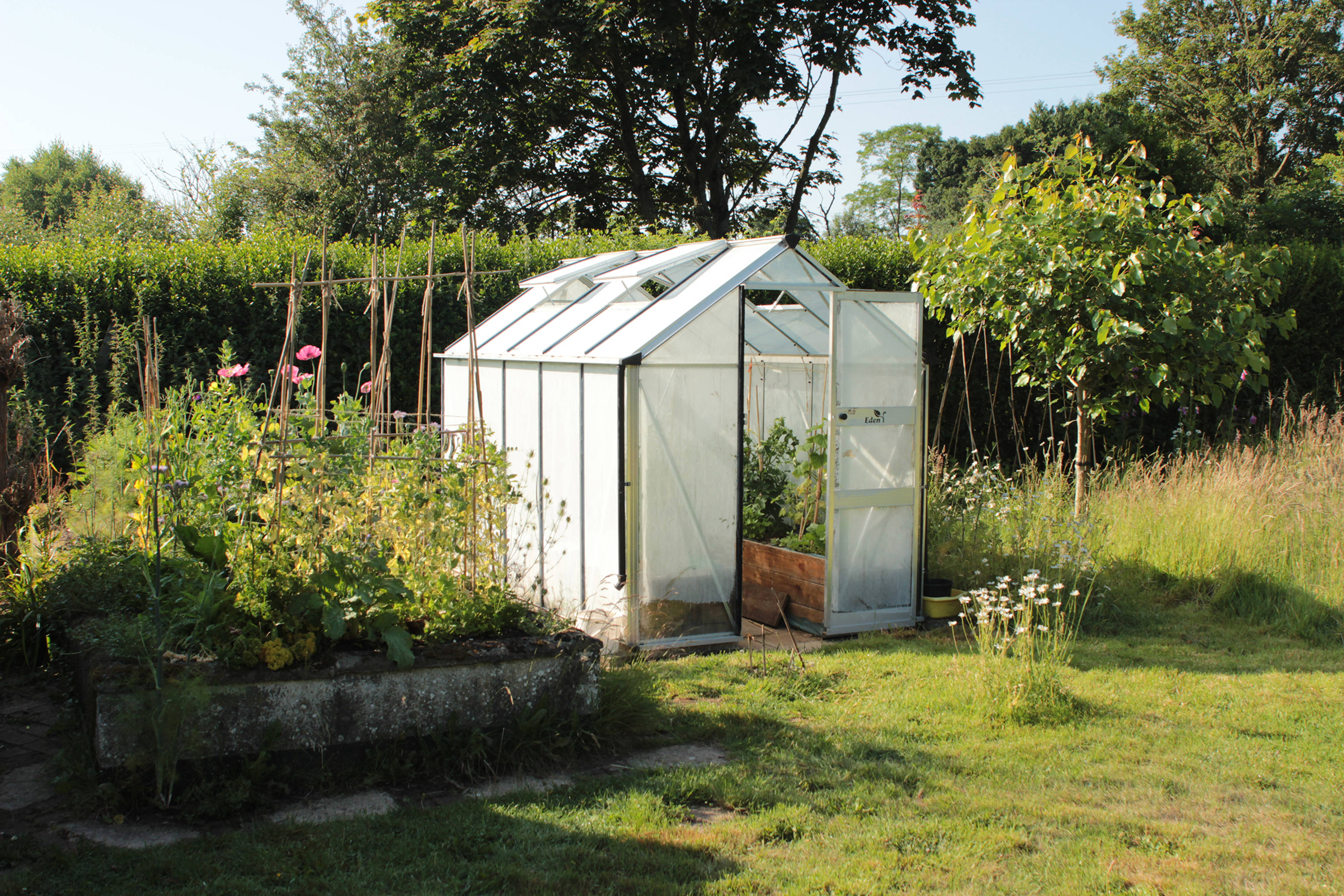 Greenhouse