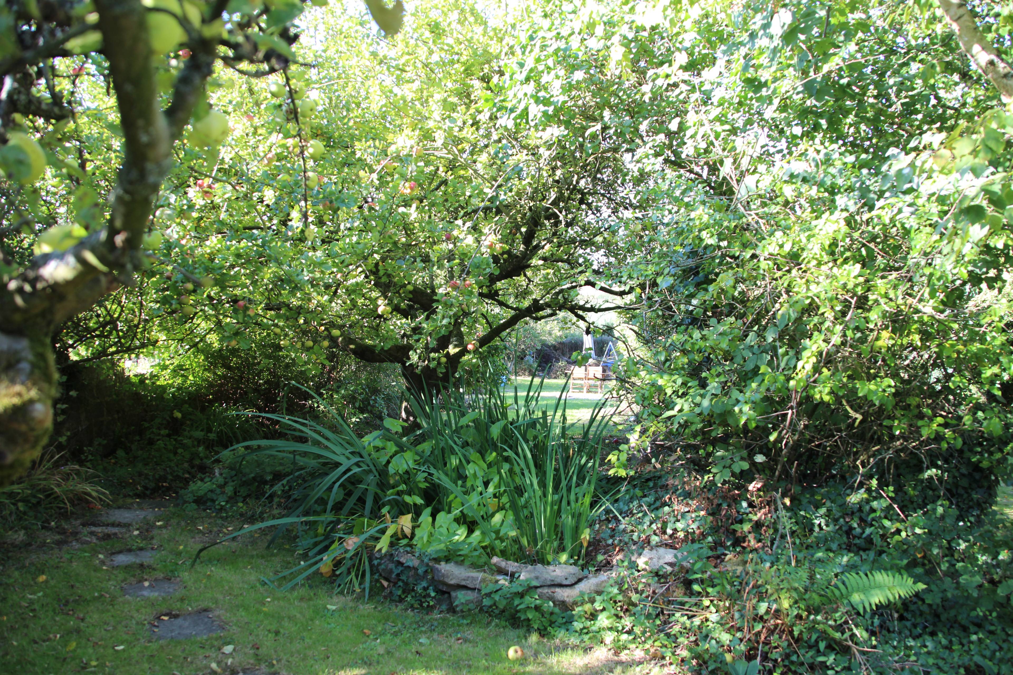 Large Garden
