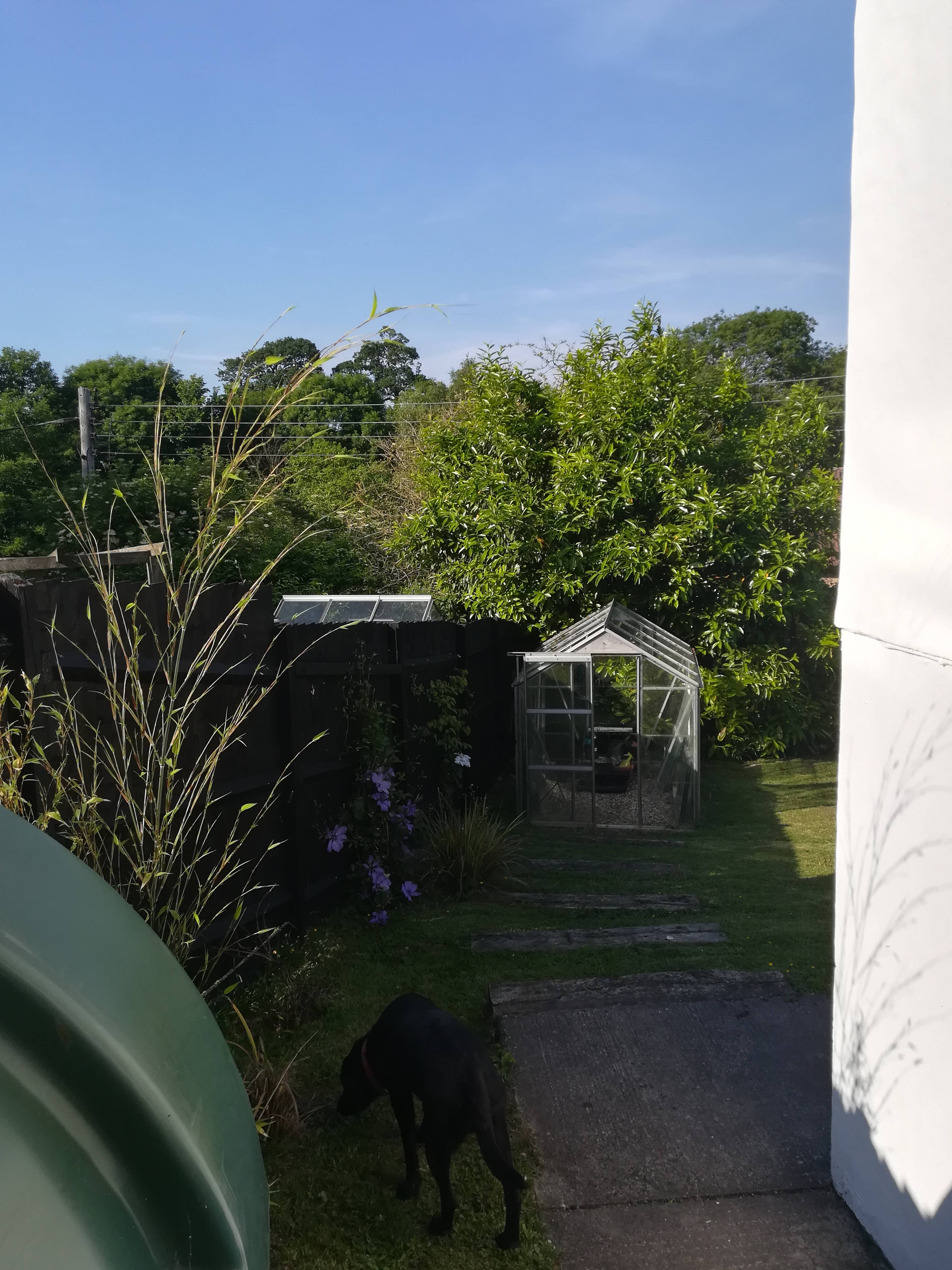 Greenhouse