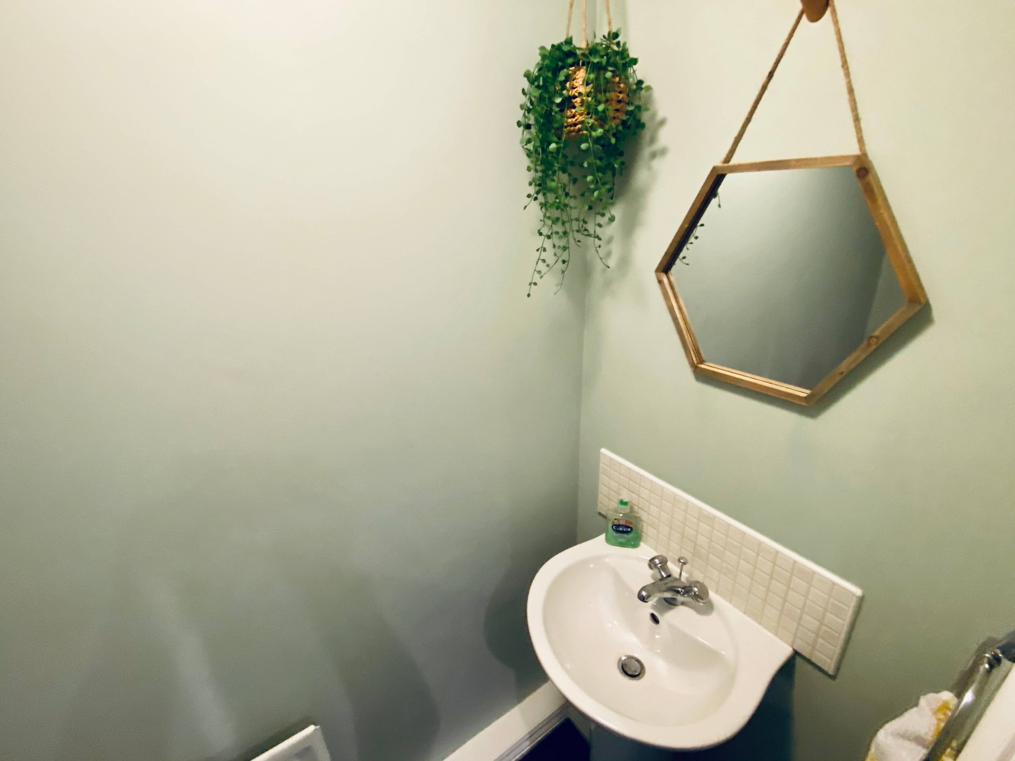 Downstairs Cloakroom