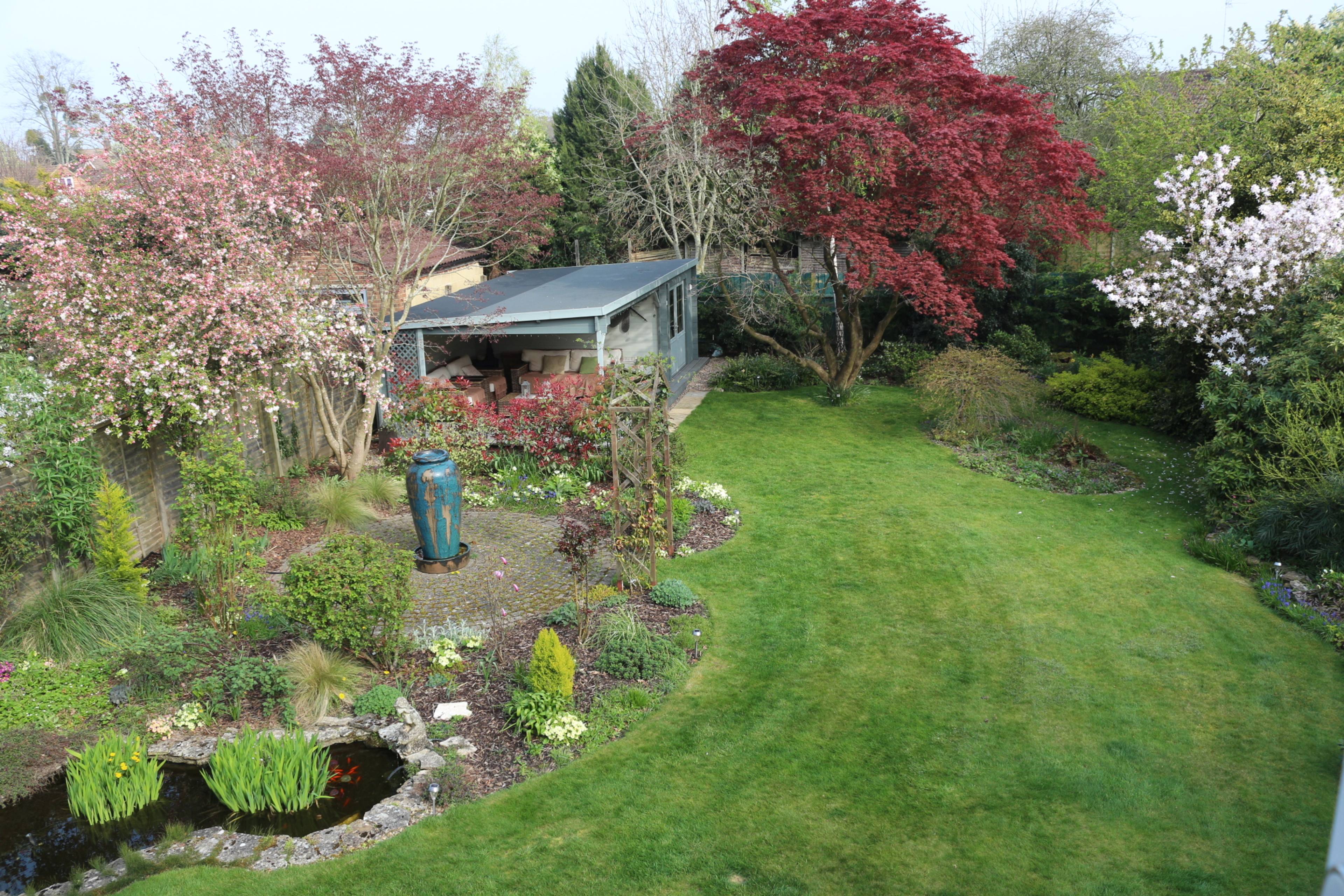 Mature Garden
