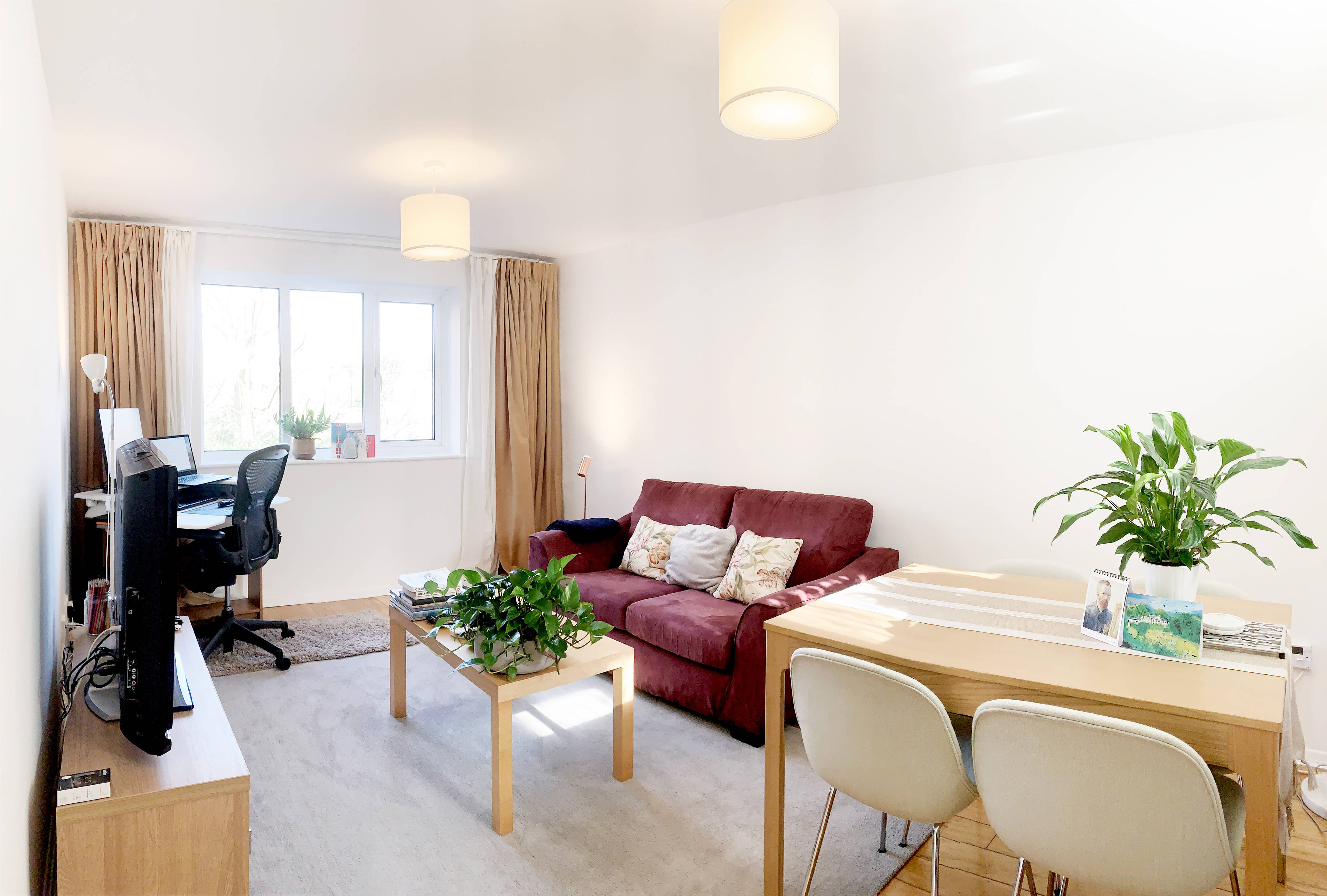 Living / Dining Room